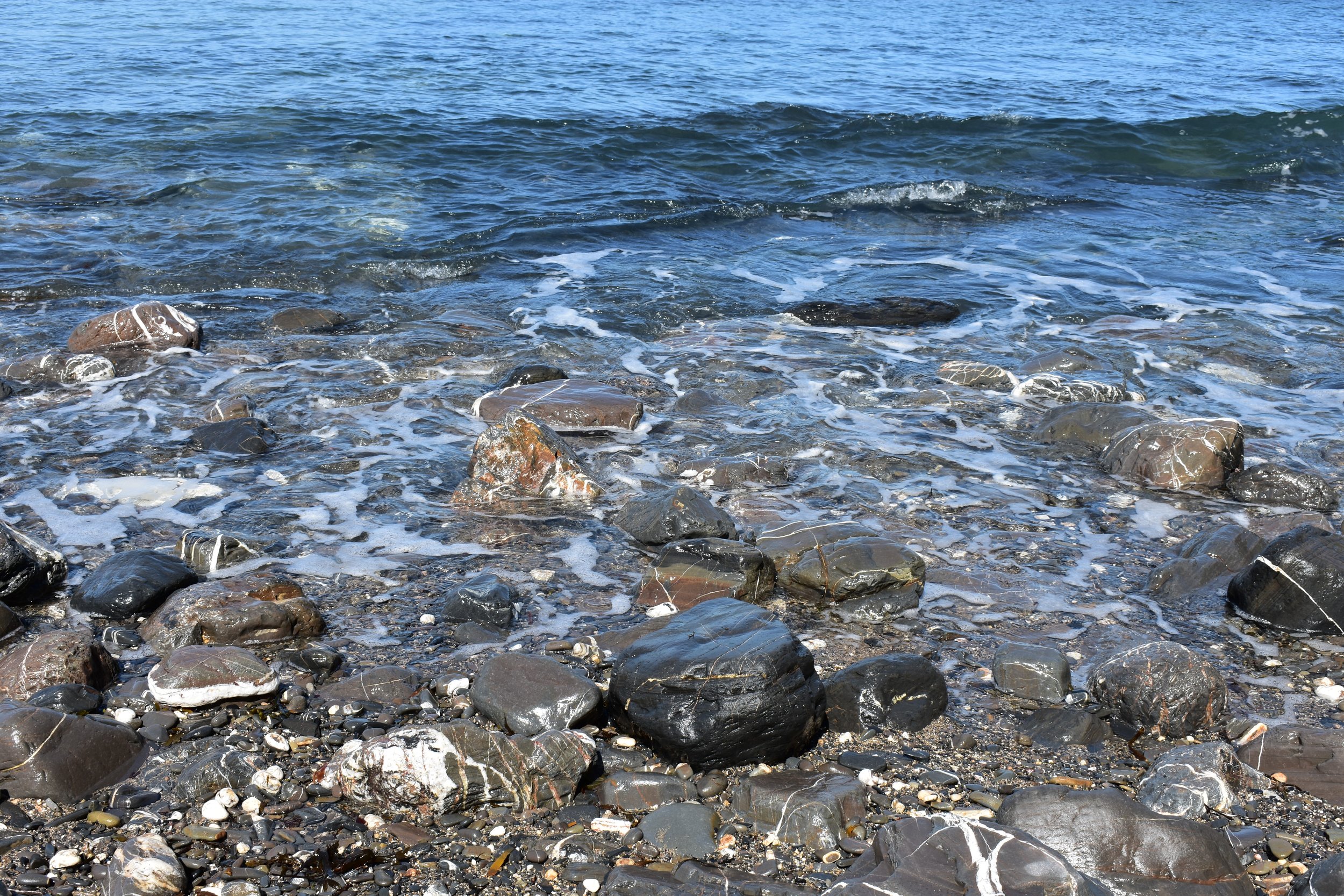 DSC_0143.JPG