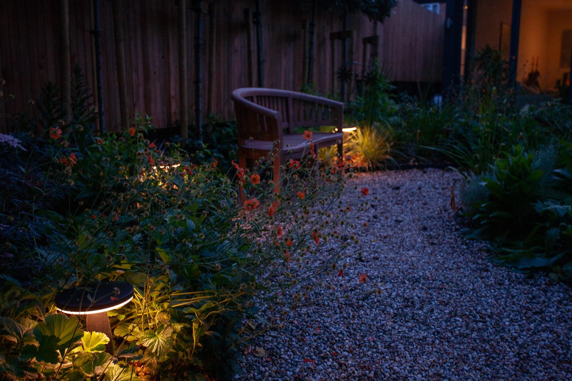 Devonshire-Rd-Night-010.jpg
