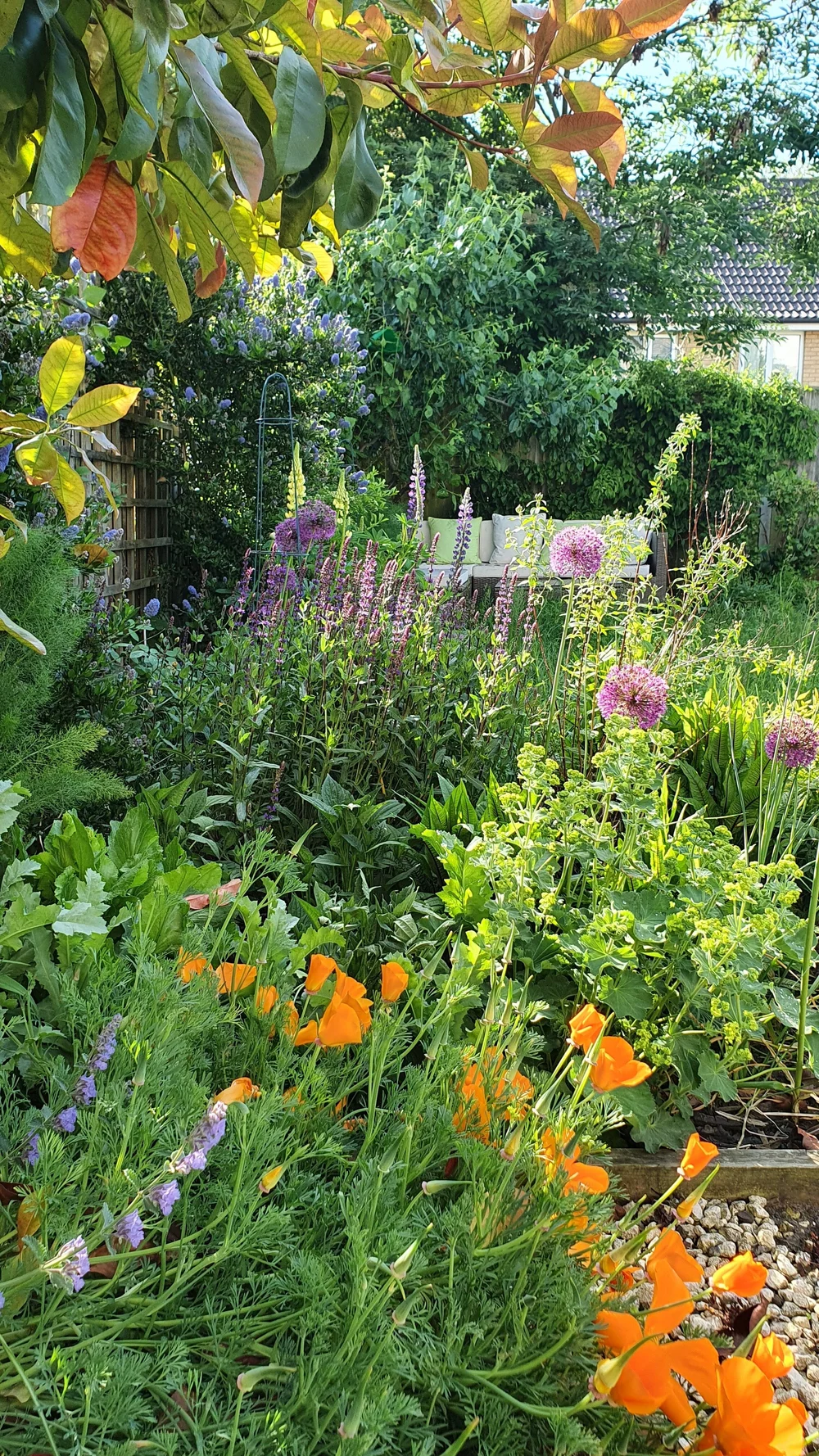 About Catriona Catriona Rowbotham Garden Design