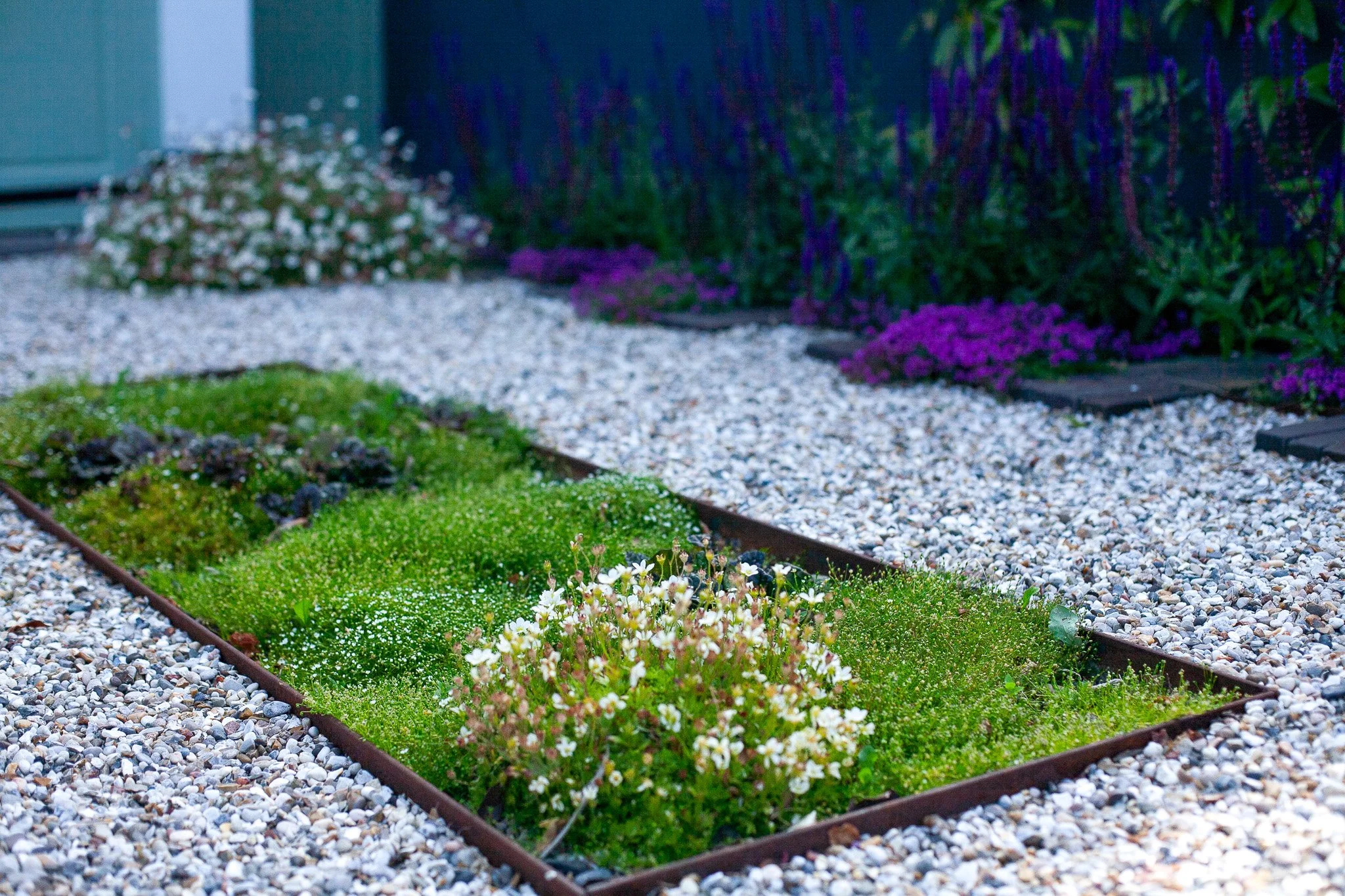 suds-parking-strip-green-driveway-planting.jpg