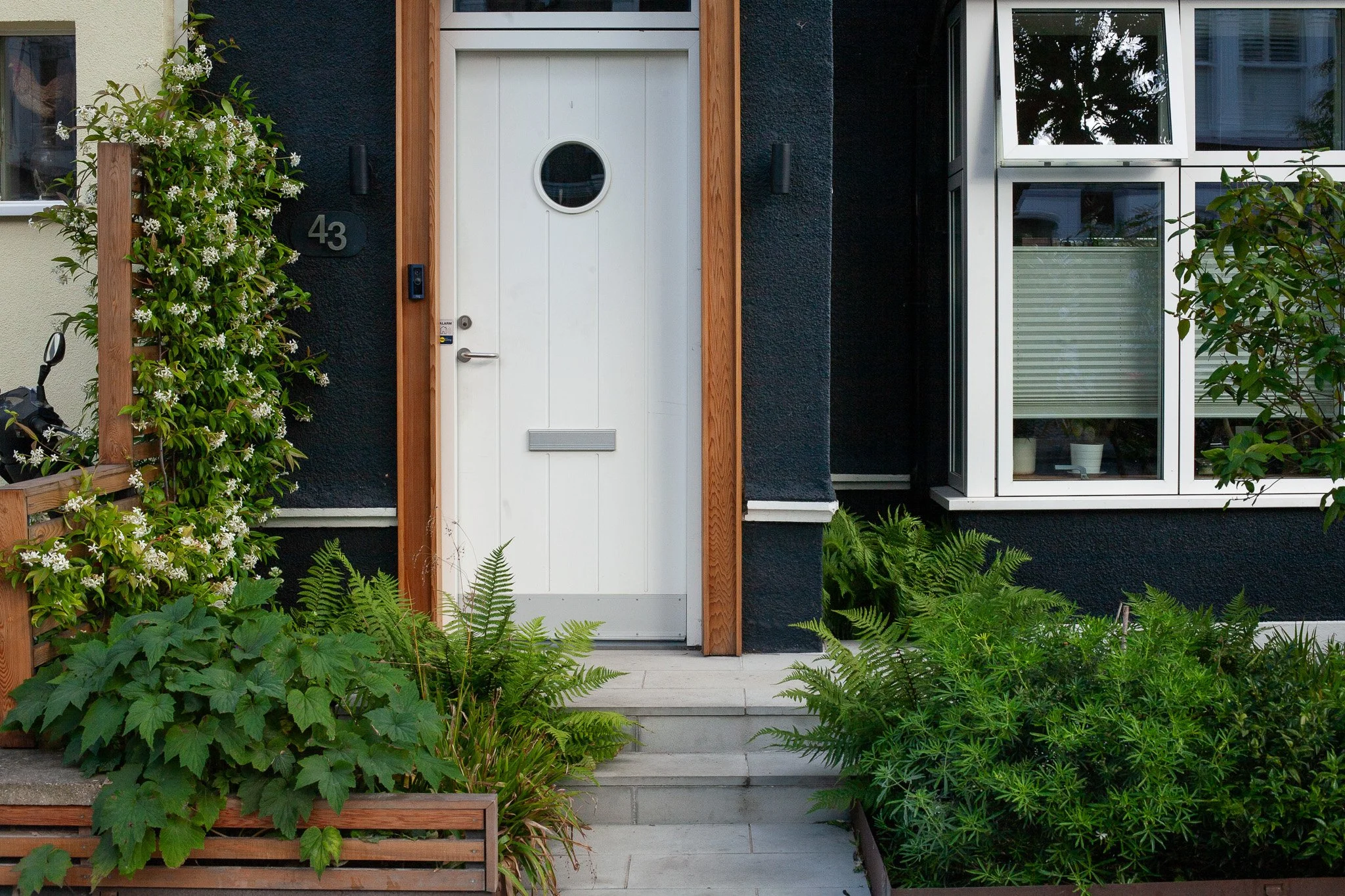 Front garden without fencing, featuring ferns, Star Jasmine (Trachelospermum jasminoides), and biodiversity-focused mixed planting for an urban home.