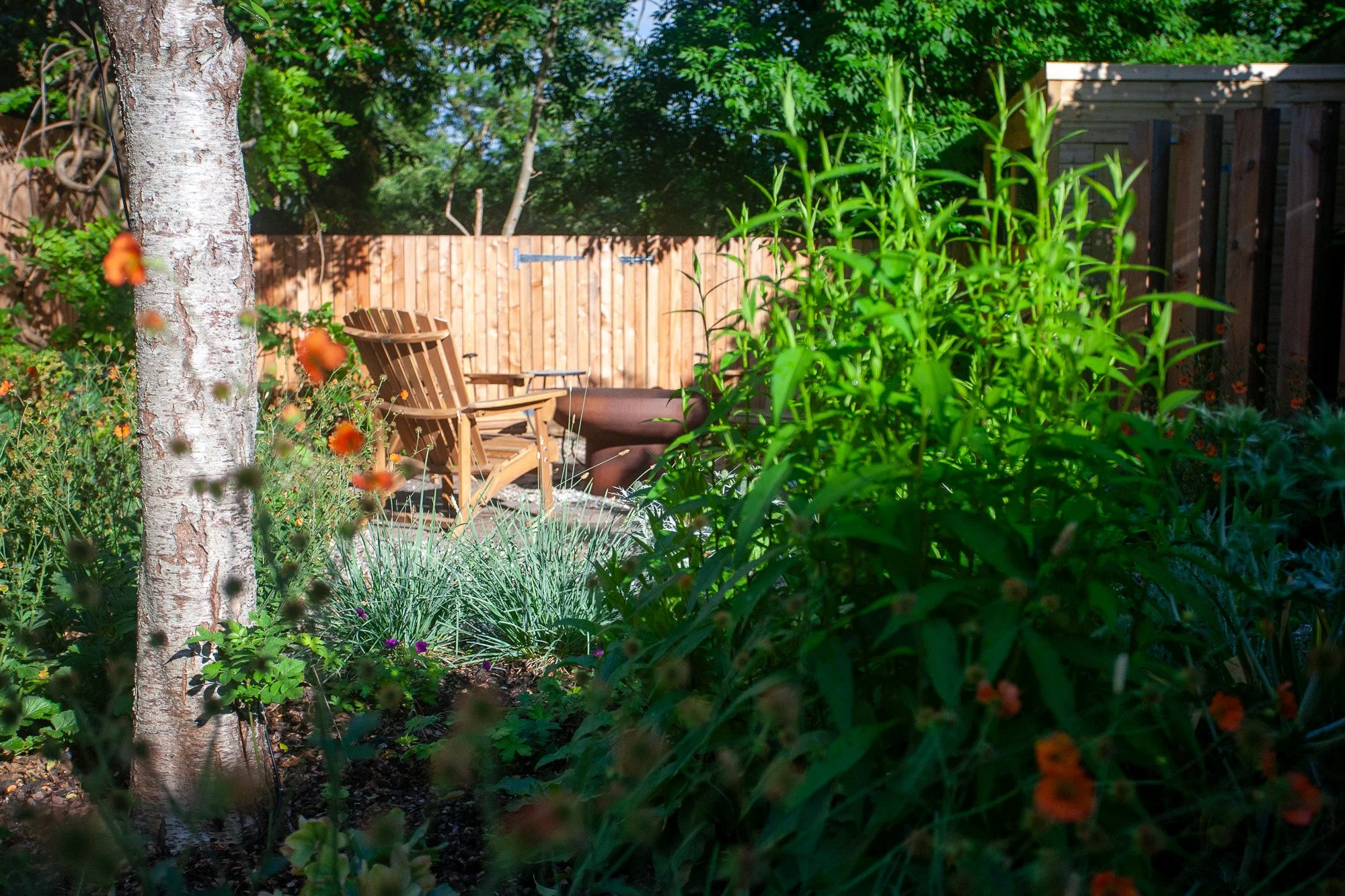 catriona-rowbotham-garden-design-birch-tree-plant-filled-retreat-forest-hill.jpg.jpg