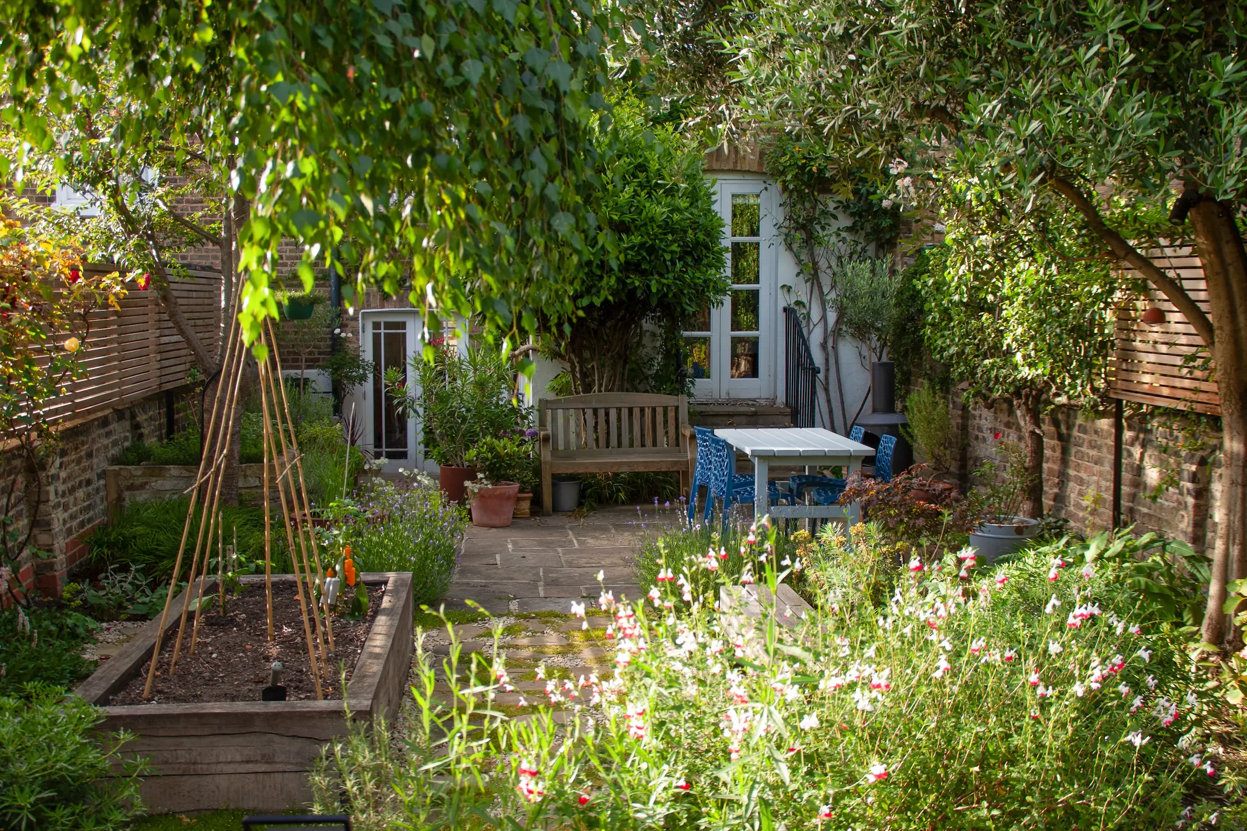 guildford _grove0496_.webp