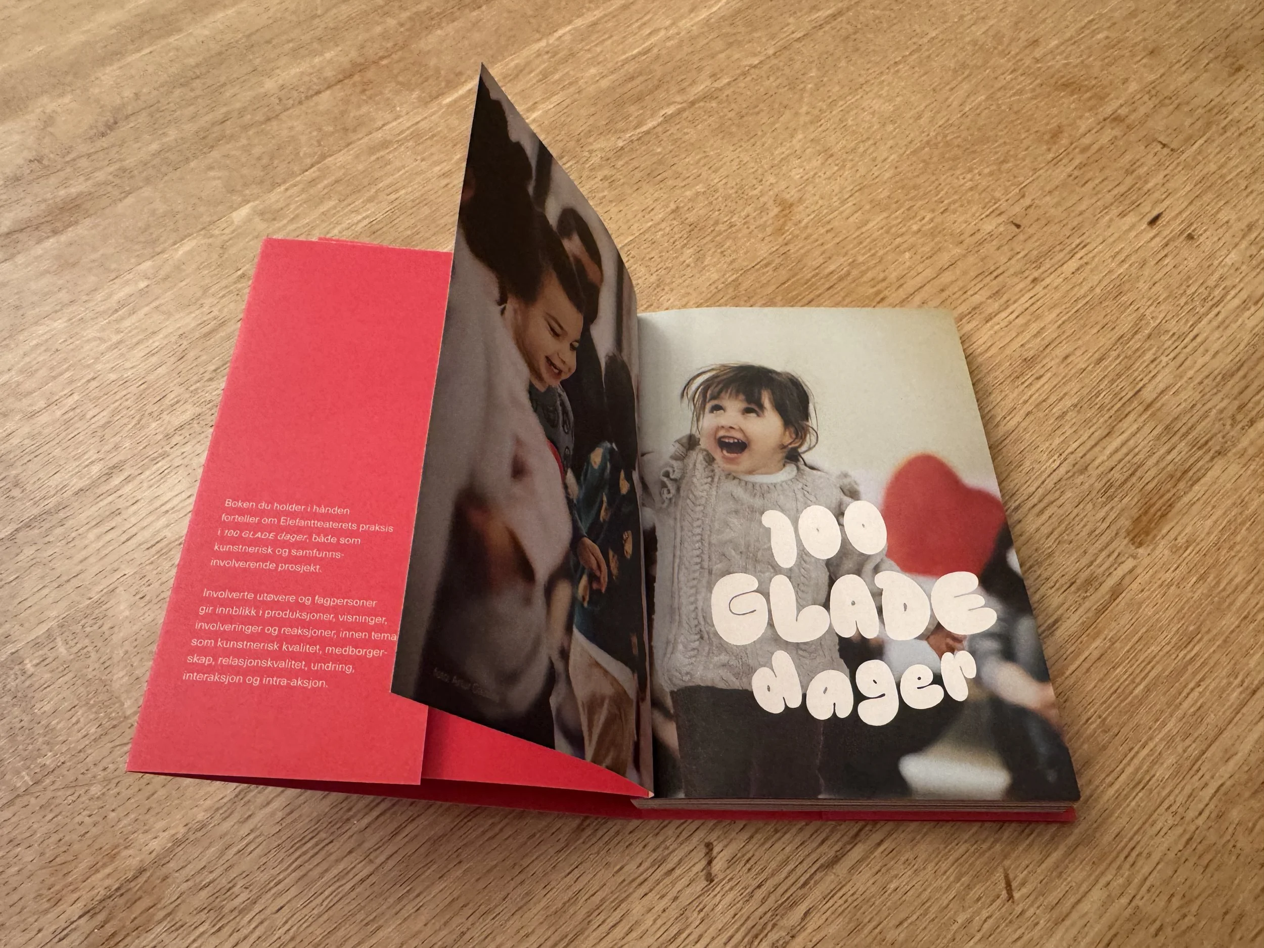 Ny bok: 100 GLADE dager