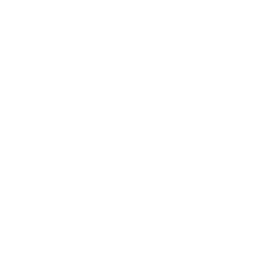 Wi-Fi signal icon