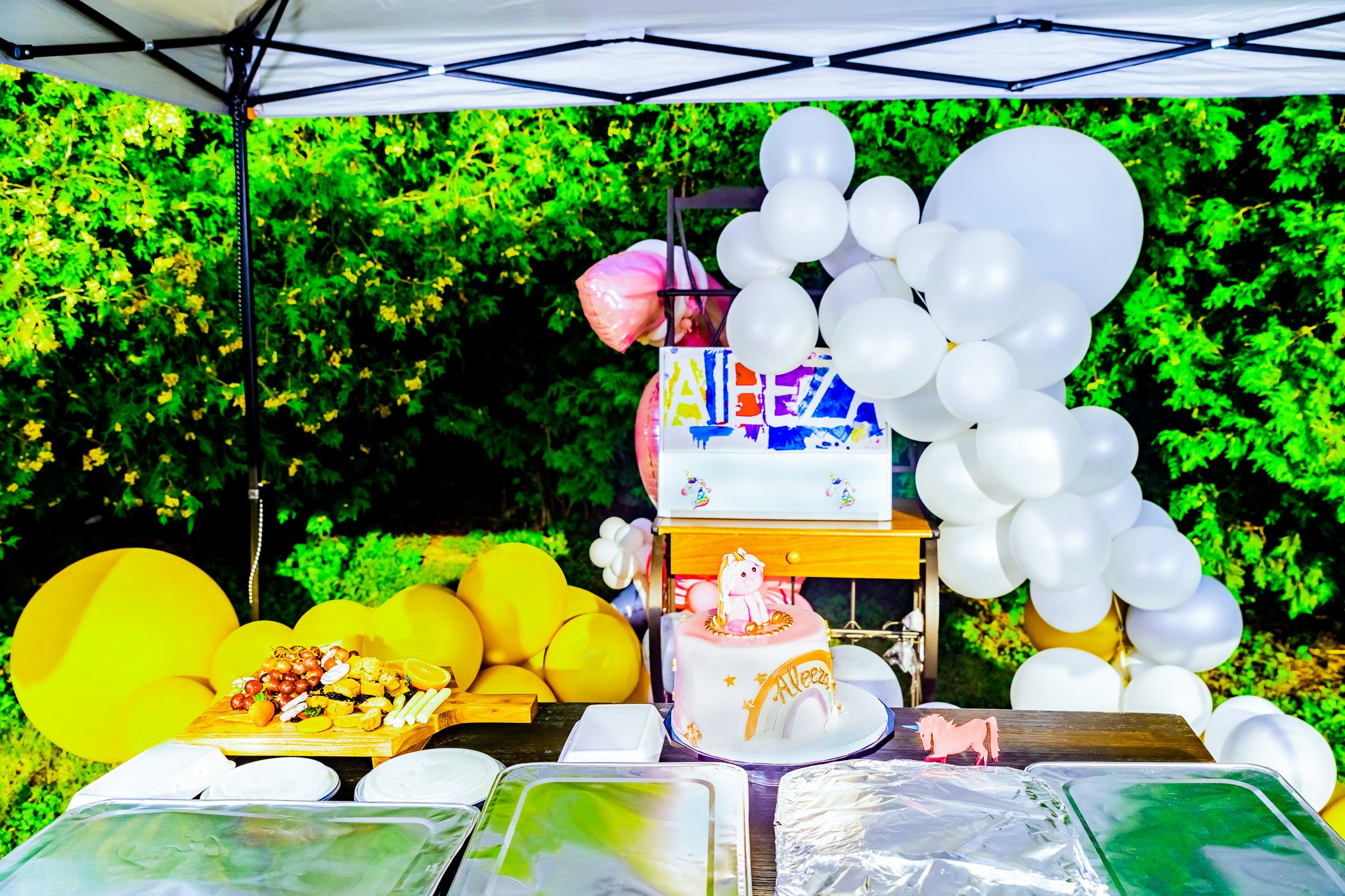 Aleeza Birthday 2021-Facebook-36.jpg