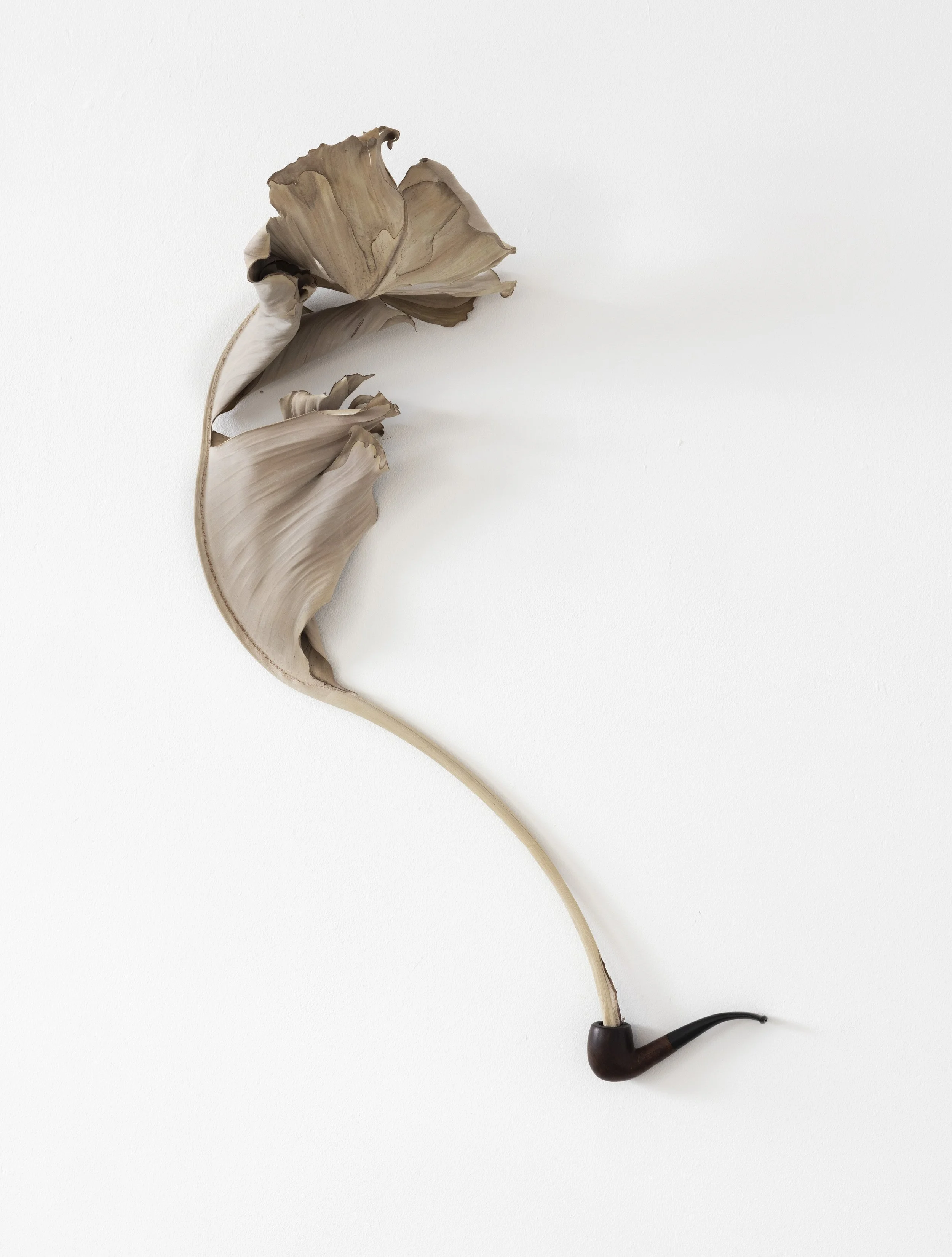 "Pipe Dream", 2025. Pipe, withered palm leaf. 100 x 50 cm