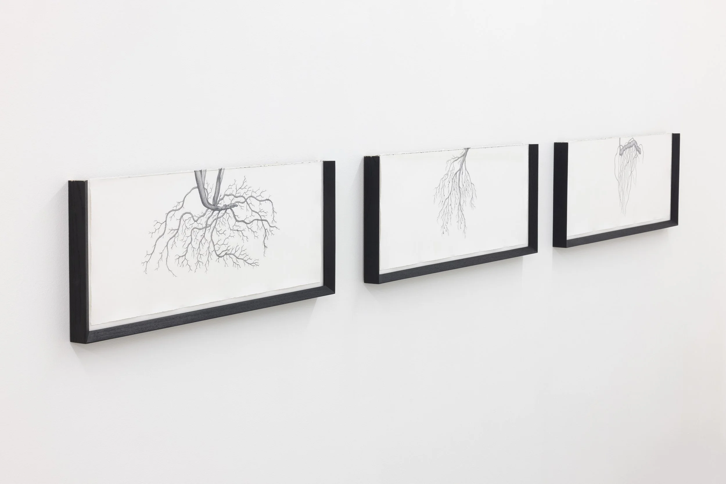 "Drawing Basics 1, 2, 3", 2019. Pencil on paper, cut framing. 29 x 70 cm