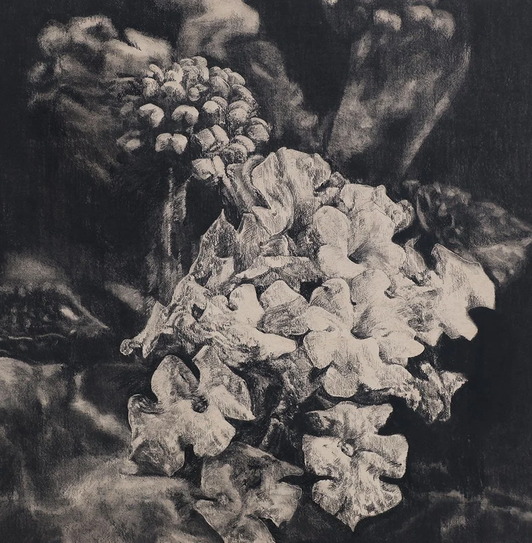 Anna Louise Richardson