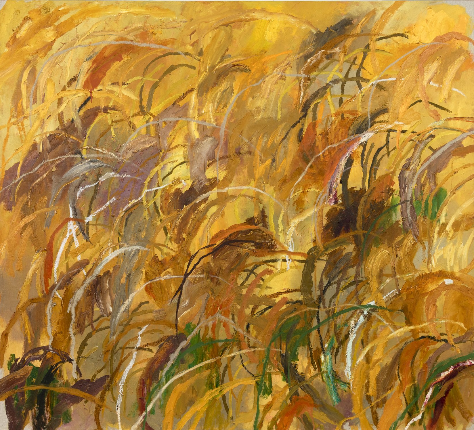 Bonnie Porter Greene