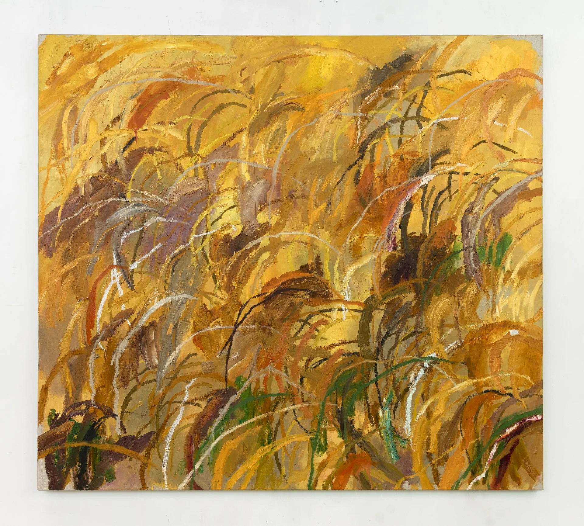 Bonnie Porter Greene: All The Energy (Upcoming)