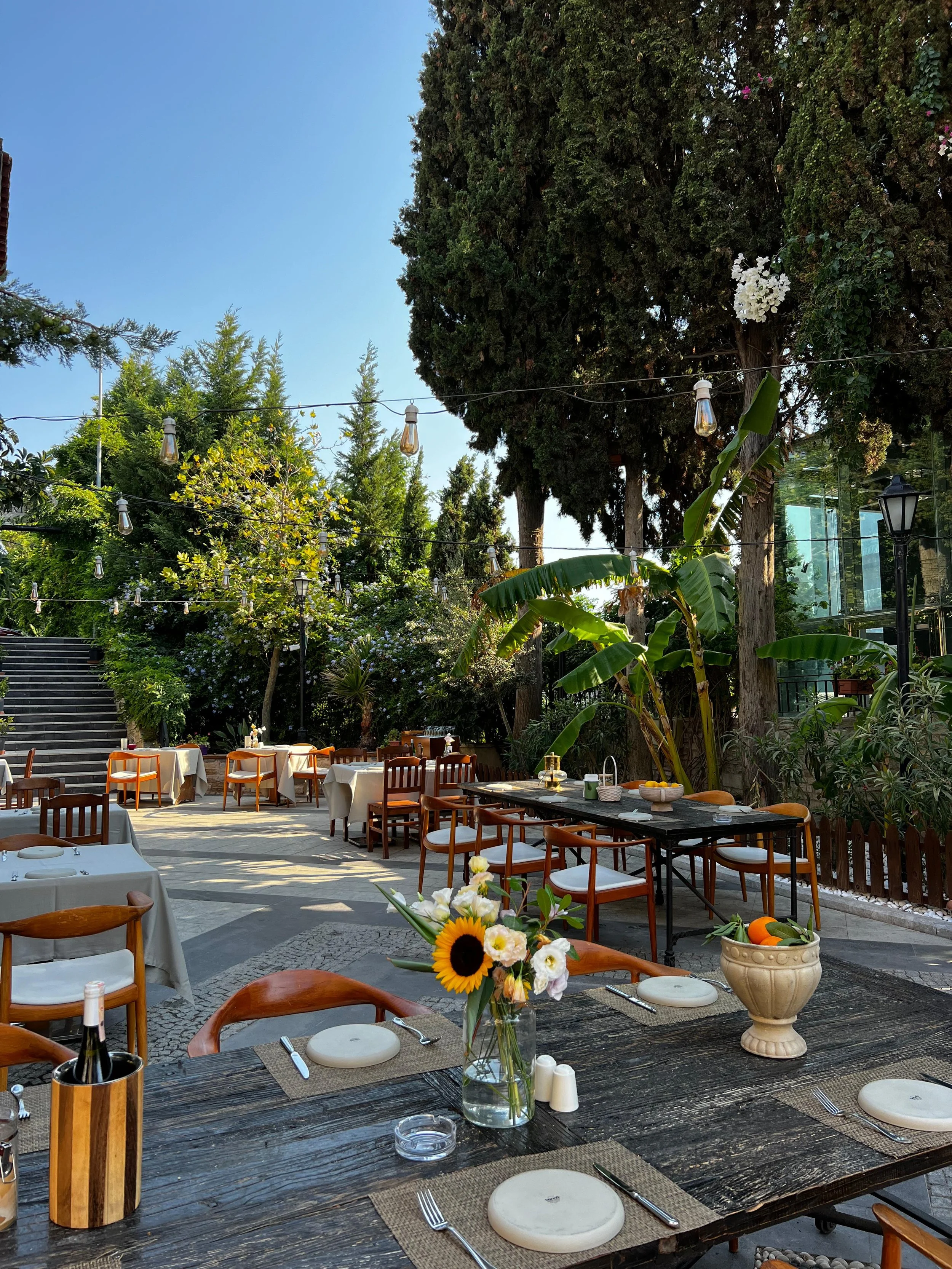 WhatsApp Image 2024-07-23 at 20.40.40 (1).jpeg