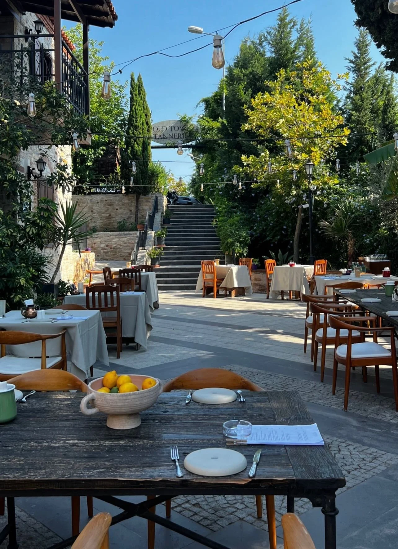 WhatsApp Image 2024-07-23 at 20.40.48.jpeg