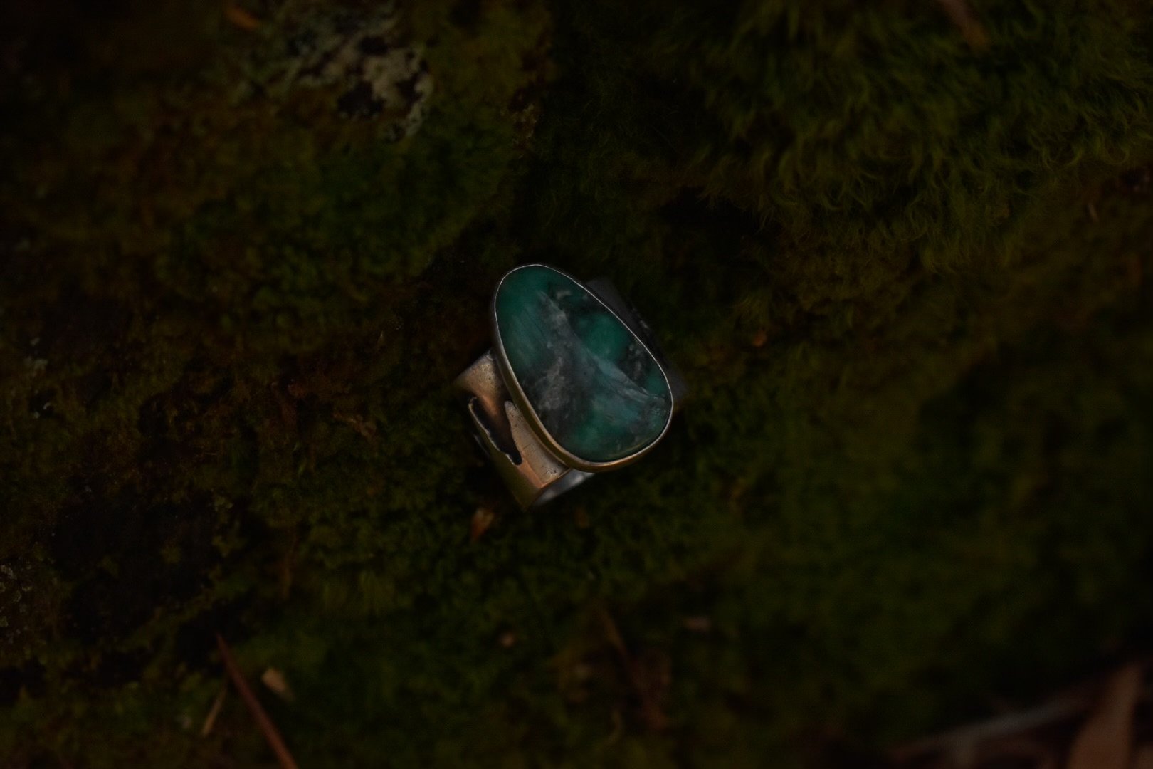 _DSC0090.jpeg