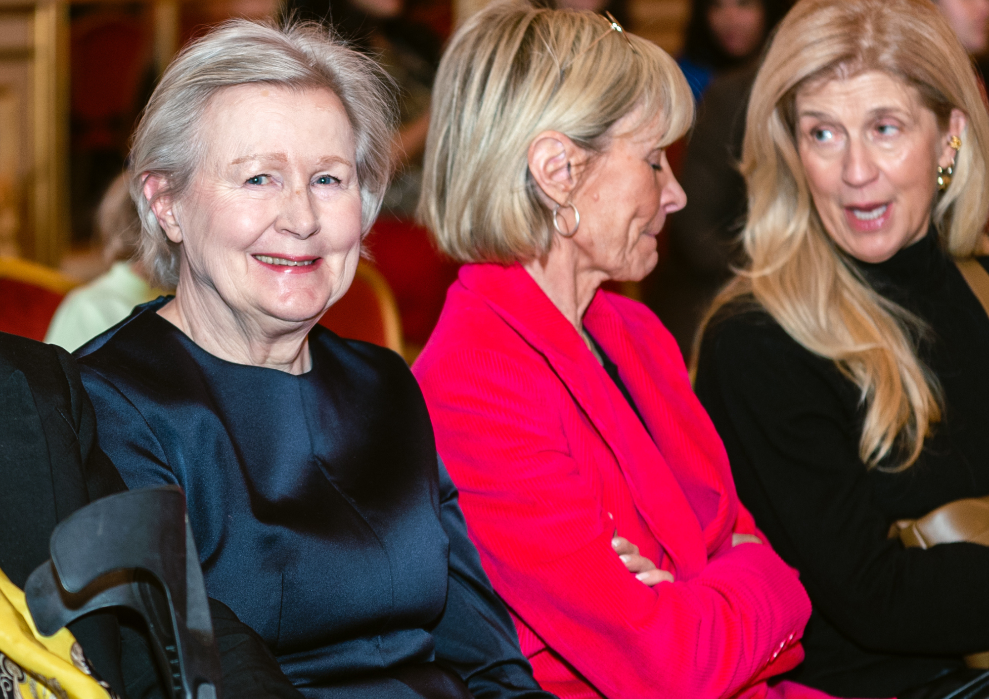 Ann Schierenbeck Style Advisor to Princess Madeleine .png