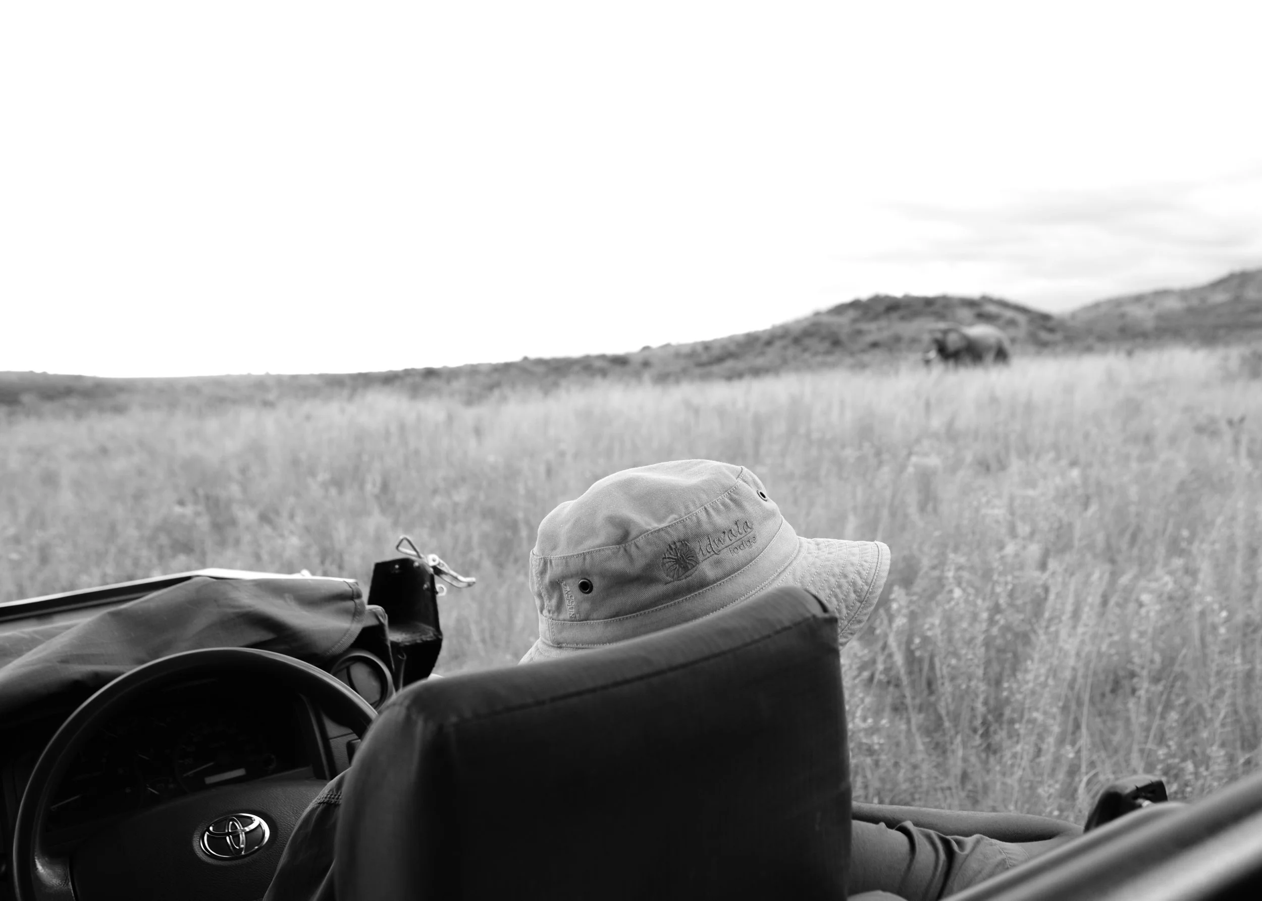BK6A4692SAFARI.jpg
