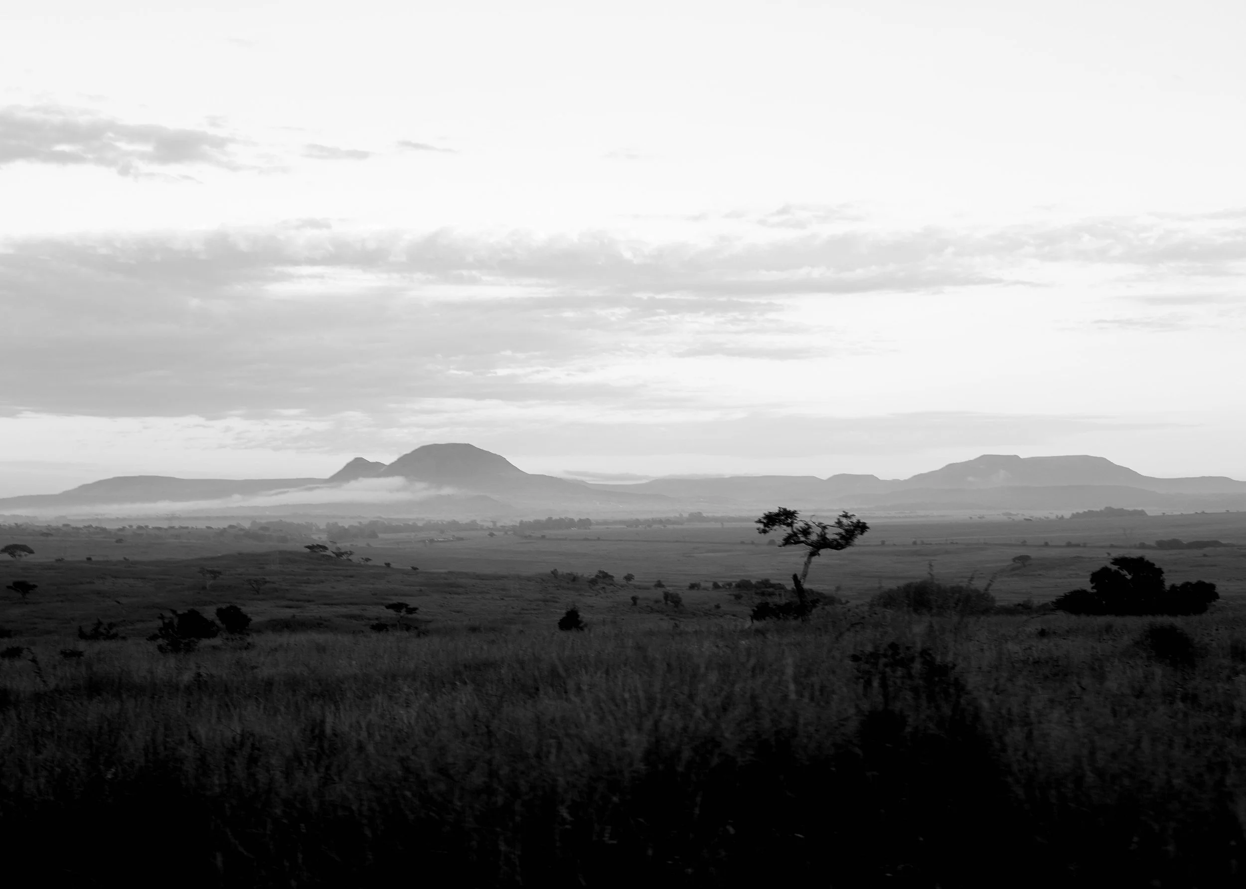 BK6A4731SAFARI.jpg