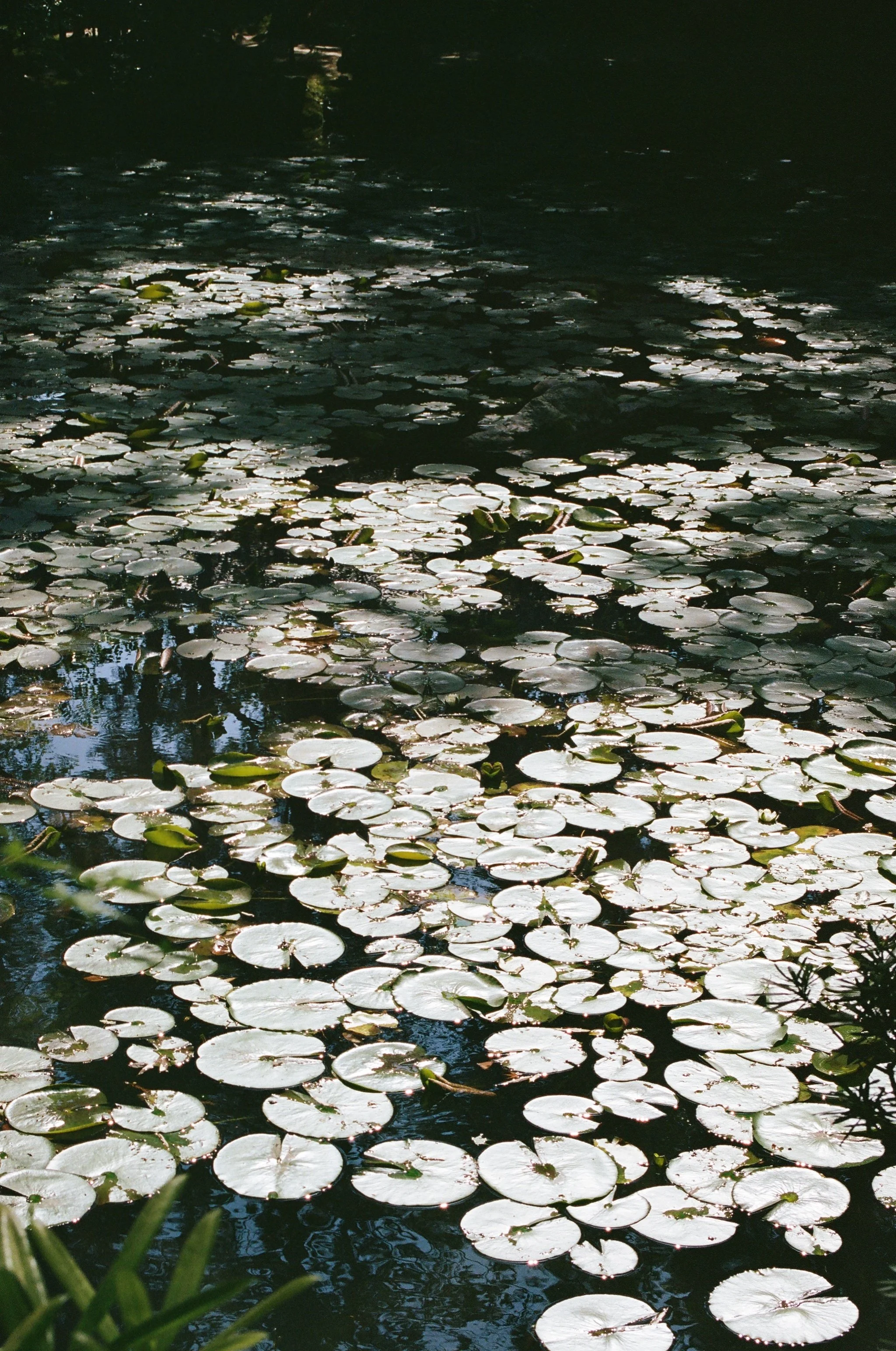 0022_22.jpg