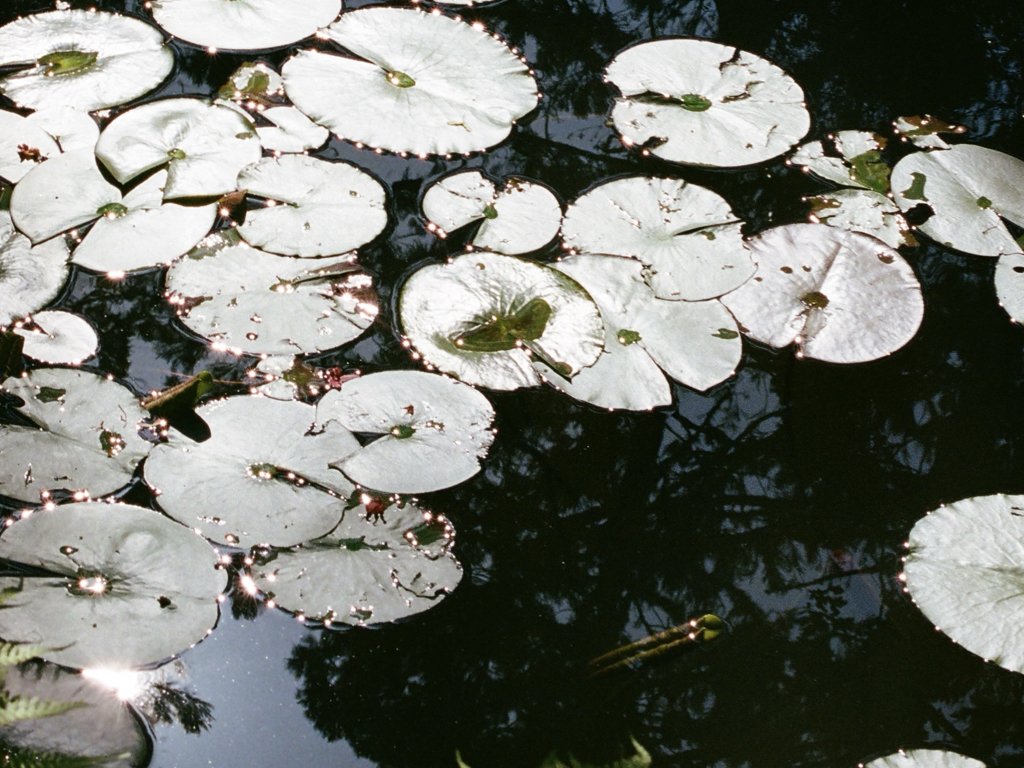 Final_version-Japan.006.jpeg
