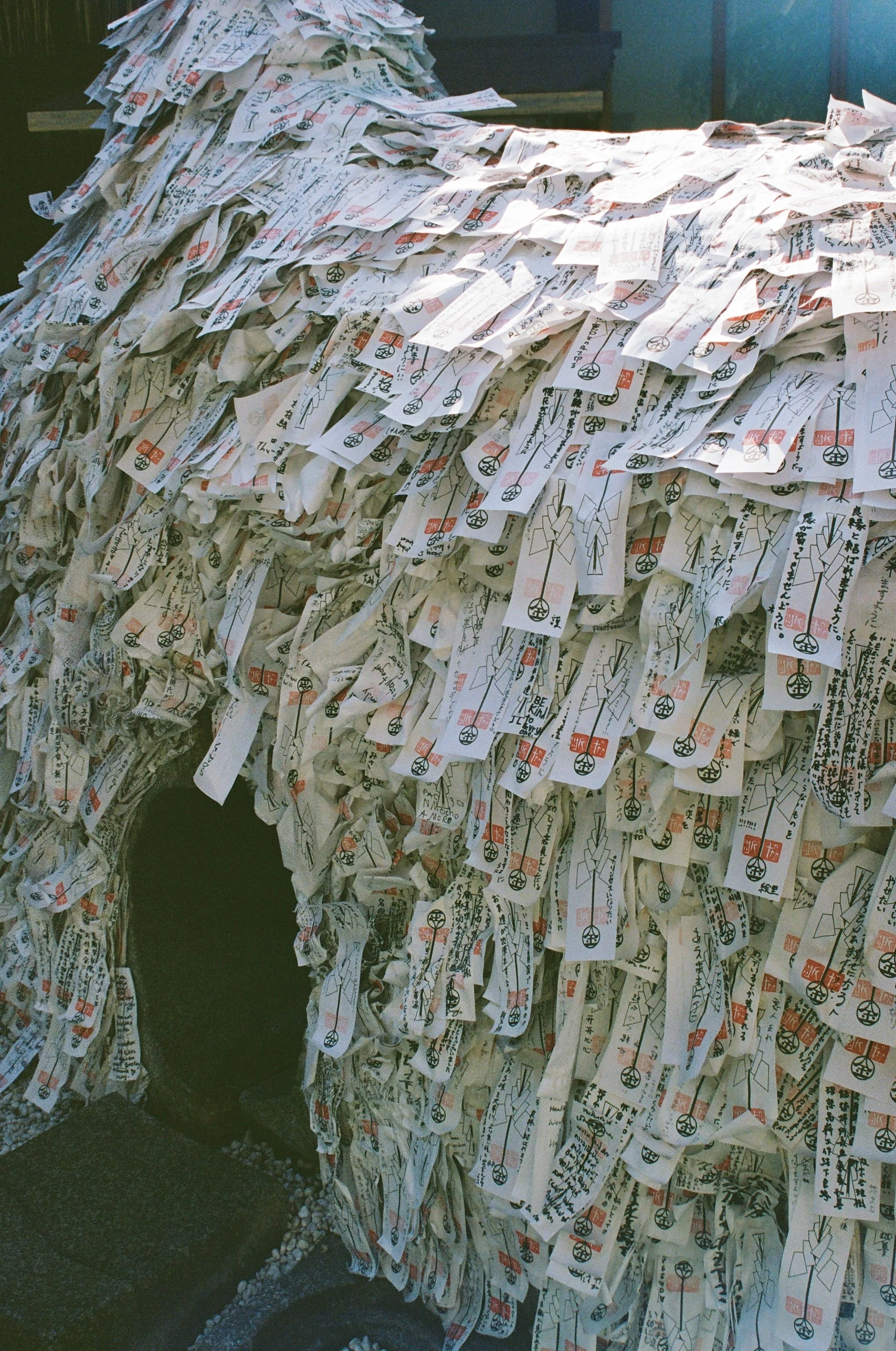 0004_4.jpg