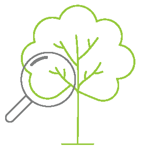 Professional Tree Surgeons