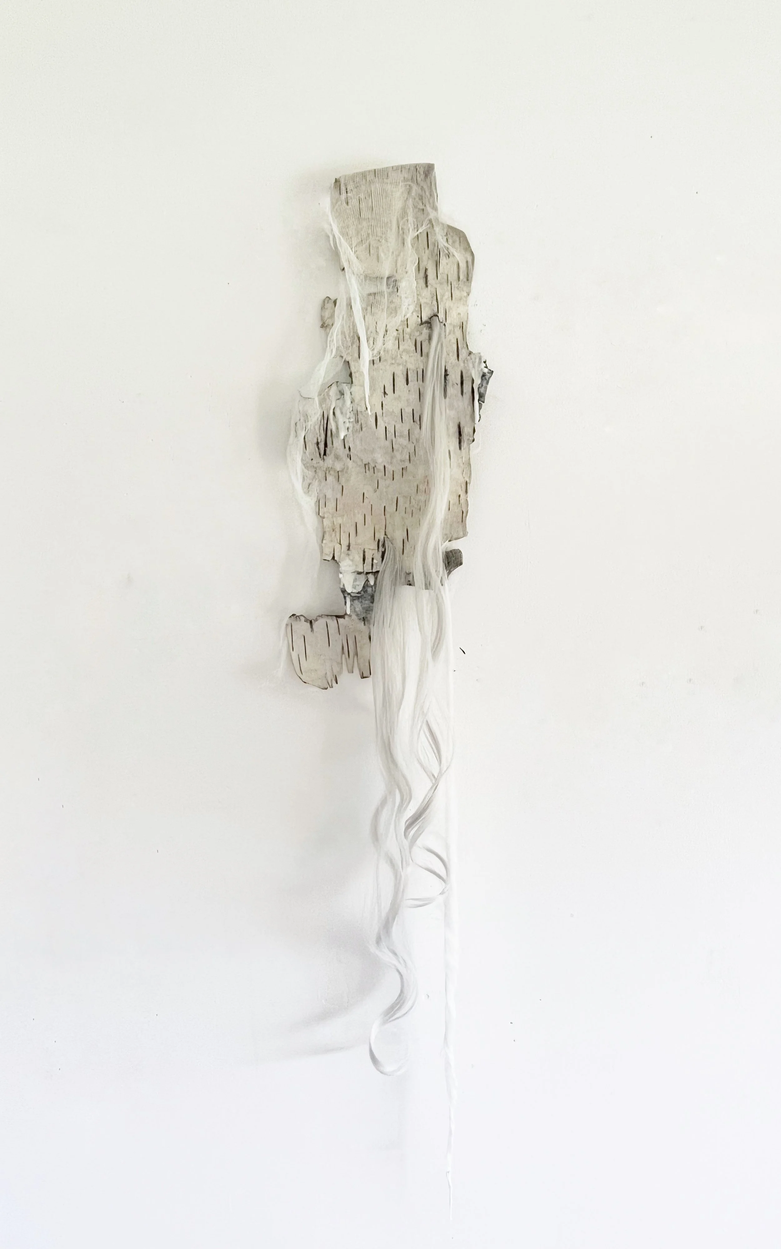 Natalia Millman - Crystalized intelligence.jpeg