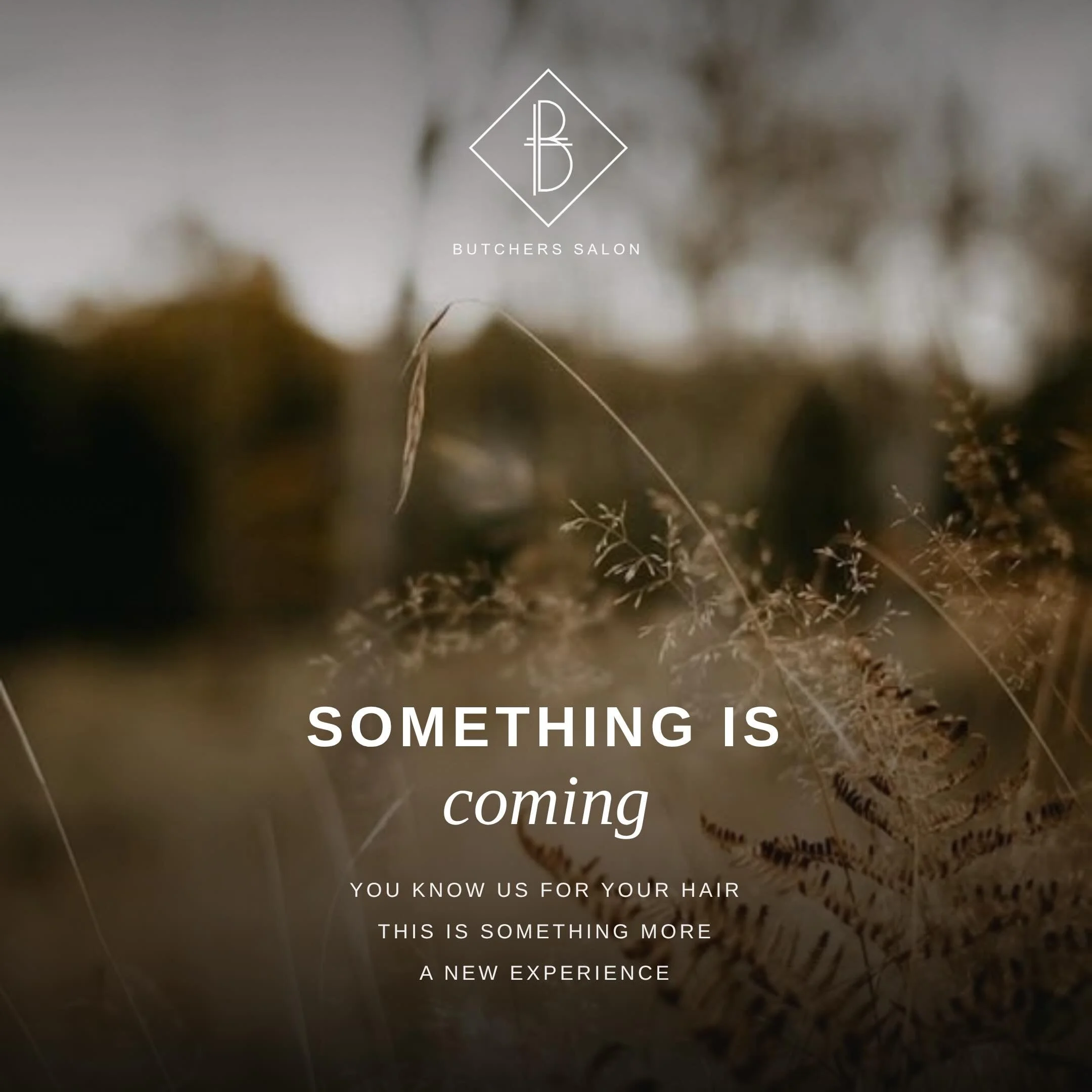 Comment RETREAT and we will send you the details first

This is something we are incredibly excited about, Katie and I have talked about it for years. 
It&rsquo;s all come coming together and it feels very special ✨

Looking after your hair is import