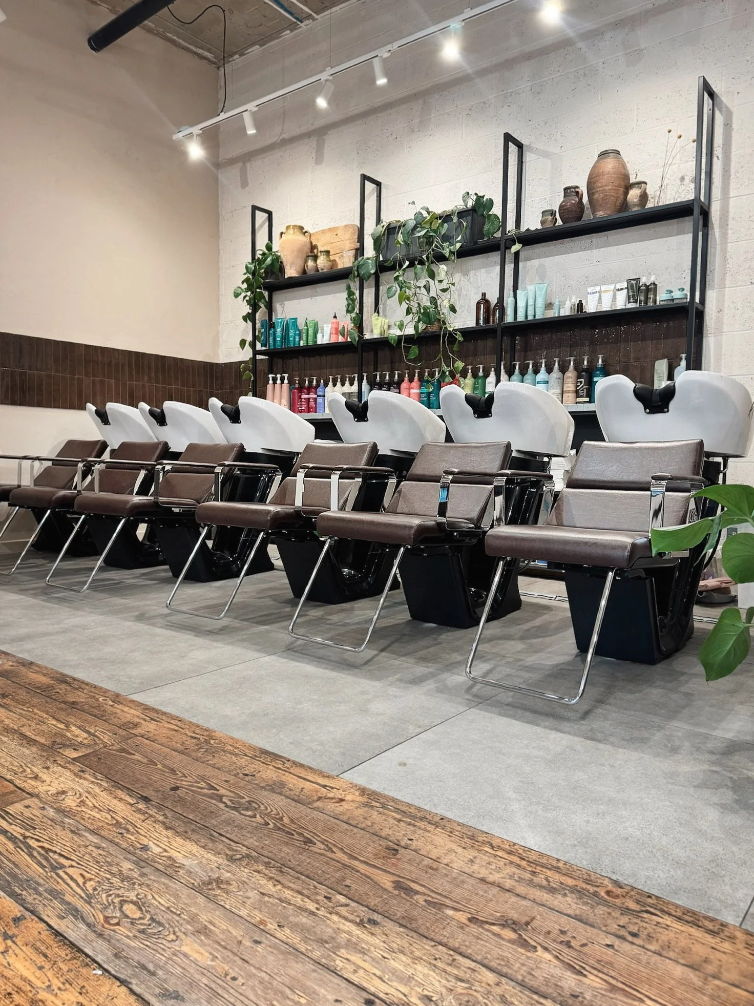 AfterlightImage (3).jpg