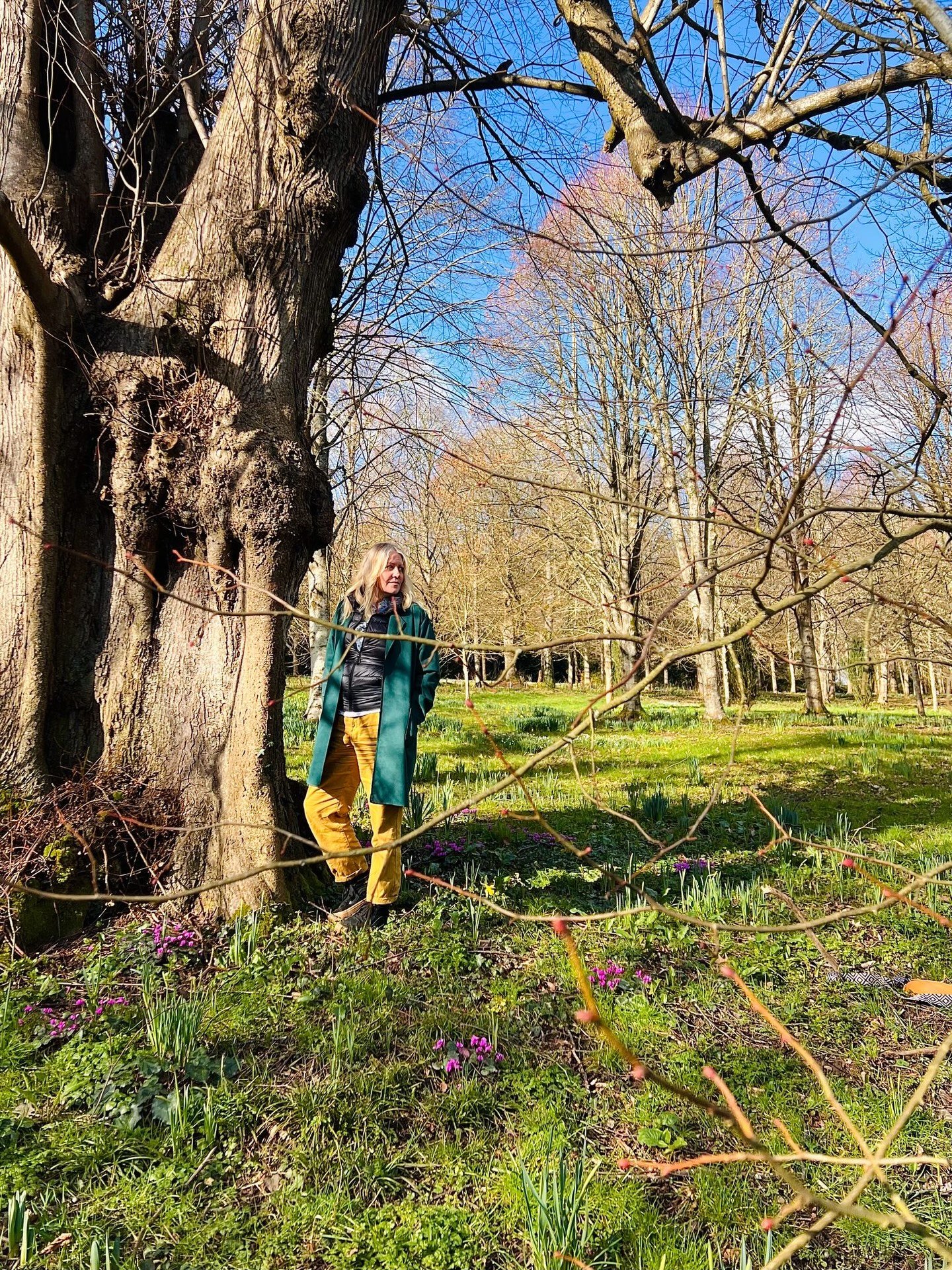 I had a lovely birthday weekend, with friends and family. Thank you for all your kind messages 💚 and best of all we were blessed with sun! 🌞 💐🌸🥰👩&zwj;🌾 #birthdaygirl #birthday #springbulbs #birthdaycake