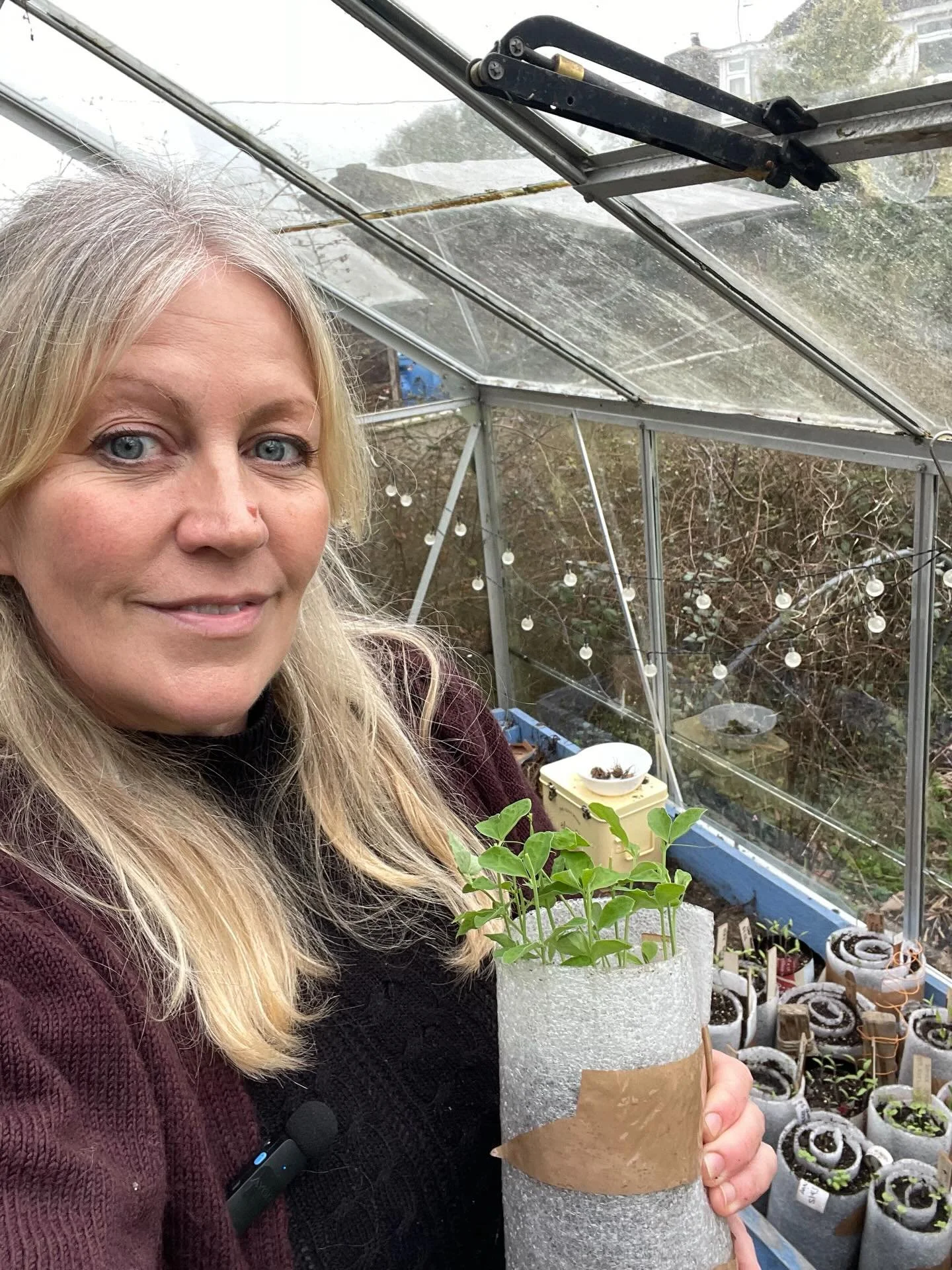 It&rsquo;s Week 6 of the Growalong! Spring has truly sprung, and seedlings are marching ahead&hellip;.This week, I talk you through common problems with sowing seeds, from germination problems, to watering, feeding and potting on. This week we are tr