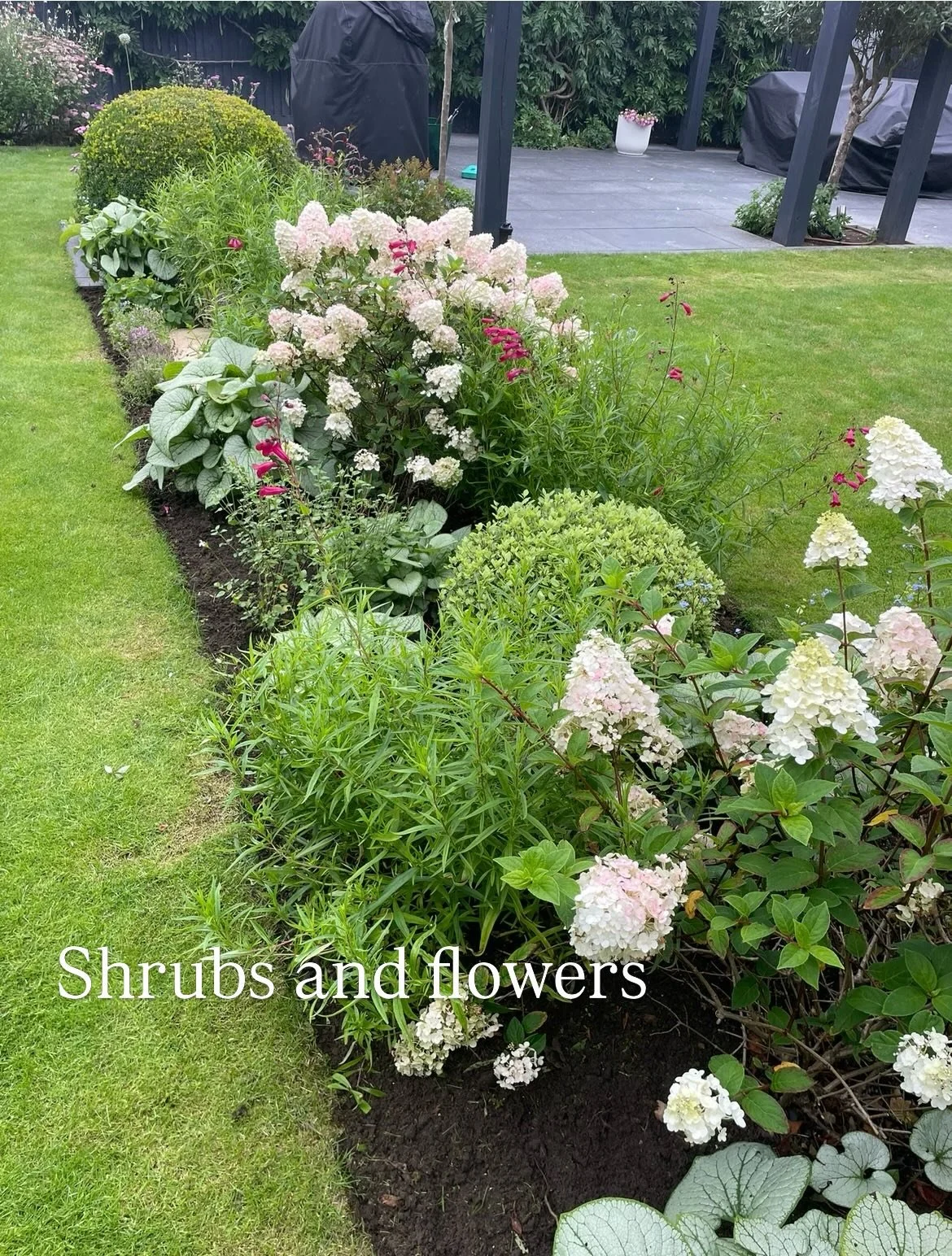 Using formal shrubs such as ilex or pittosporum adds interest and helps to offset blousy flowers and grasses. Shrubs like hydrangeas work really well in this combination. Always think about colour, foliage, shape, form, and seasonal interest when des