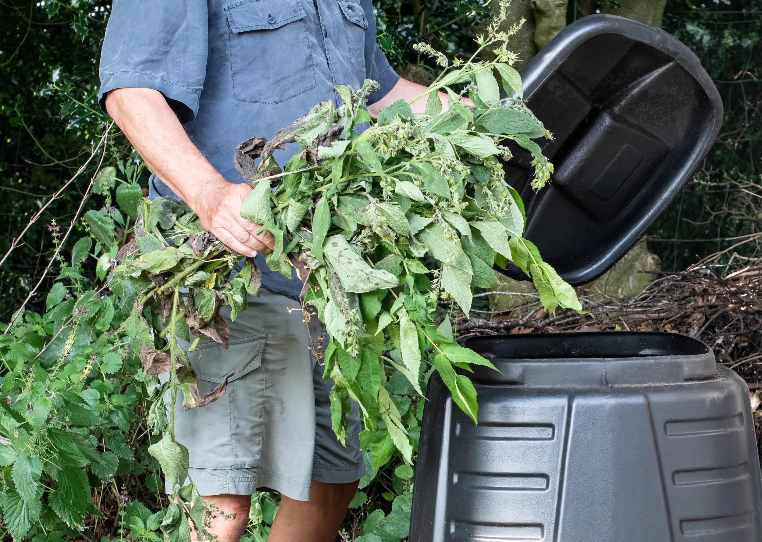comfreycompost.jpg