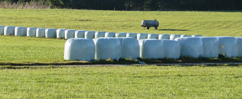 Webinar: Framtida for landbruksplast – erfaringar med gjenvinning og nye bioplastløysingar - erfaringer fra Tyskland og Sveits