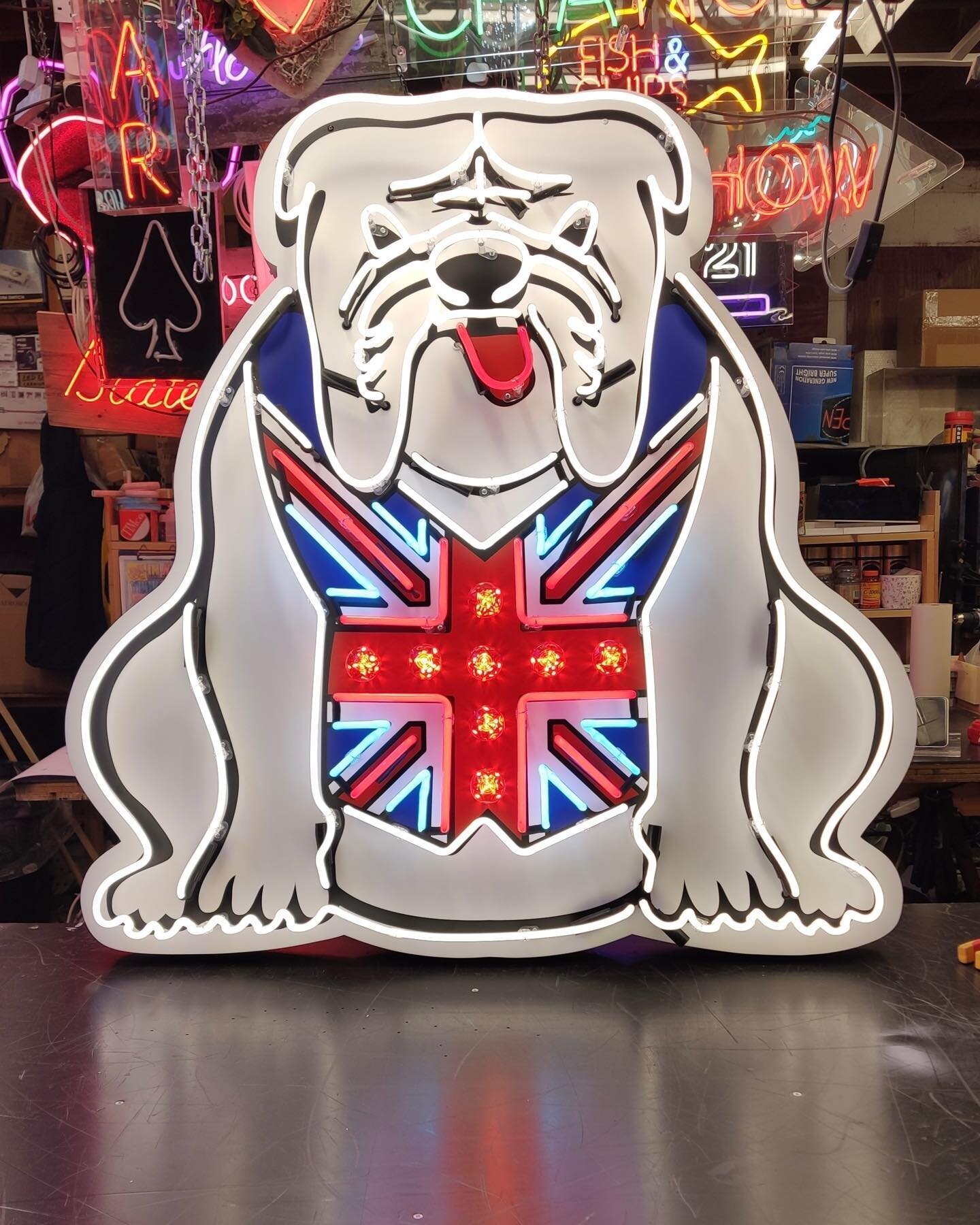 Meet Butch! 
Another addition to my Bulldog neons.
Delighted to say he has found a happy home 💗 
 
Made using aluminium, neon and Vegas style bulbs 

#bulldog #neon #adogisnotjustforchrismas