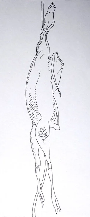 Rubber Chicken #14, 10.5in. x 14in.