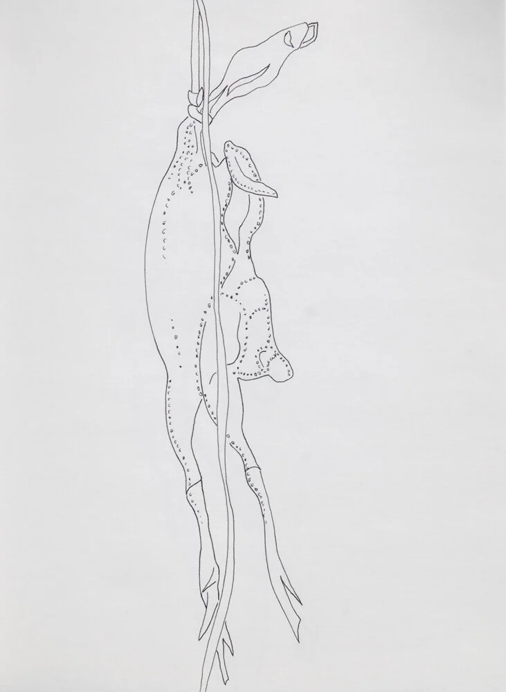 Rubber Chicken #4, 10.5in. x 14in.