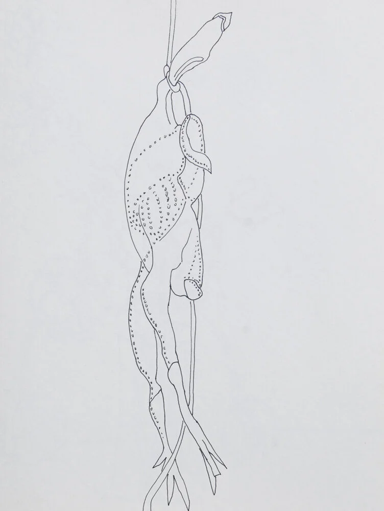 Rubber Chicken #1, 10.5in. x 14in.