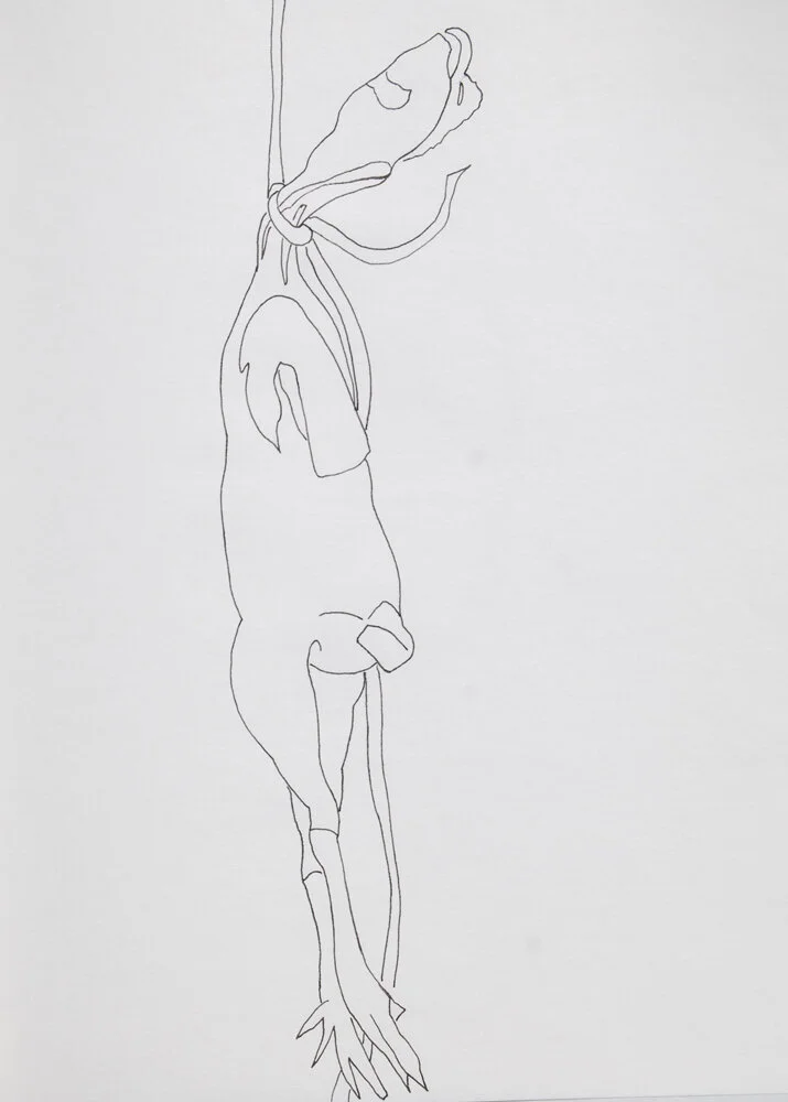 Rubber Chicken #3, 10.5in. x 14in.