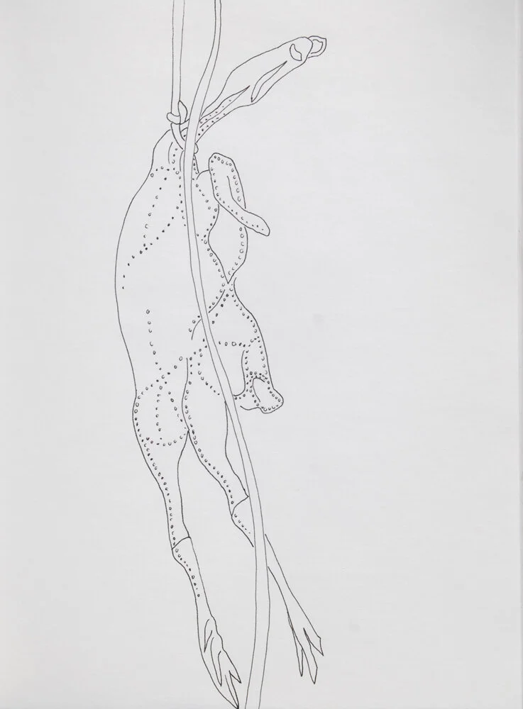 Rubber Chicken #7, 10.5in. x 14in.