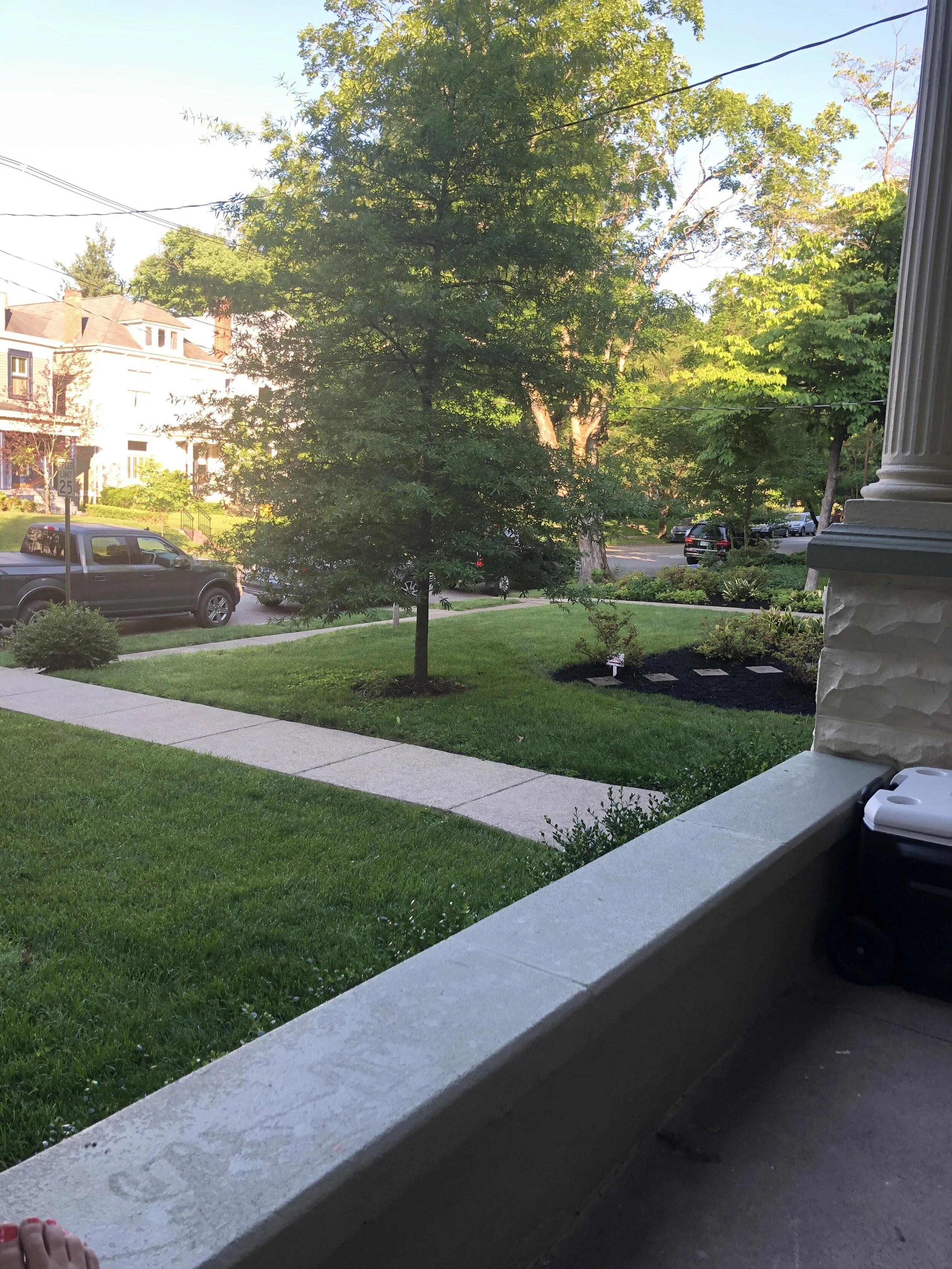 Before: after the homeowners had moved in, planted the Willow Oak and Boxwoods in the front yard