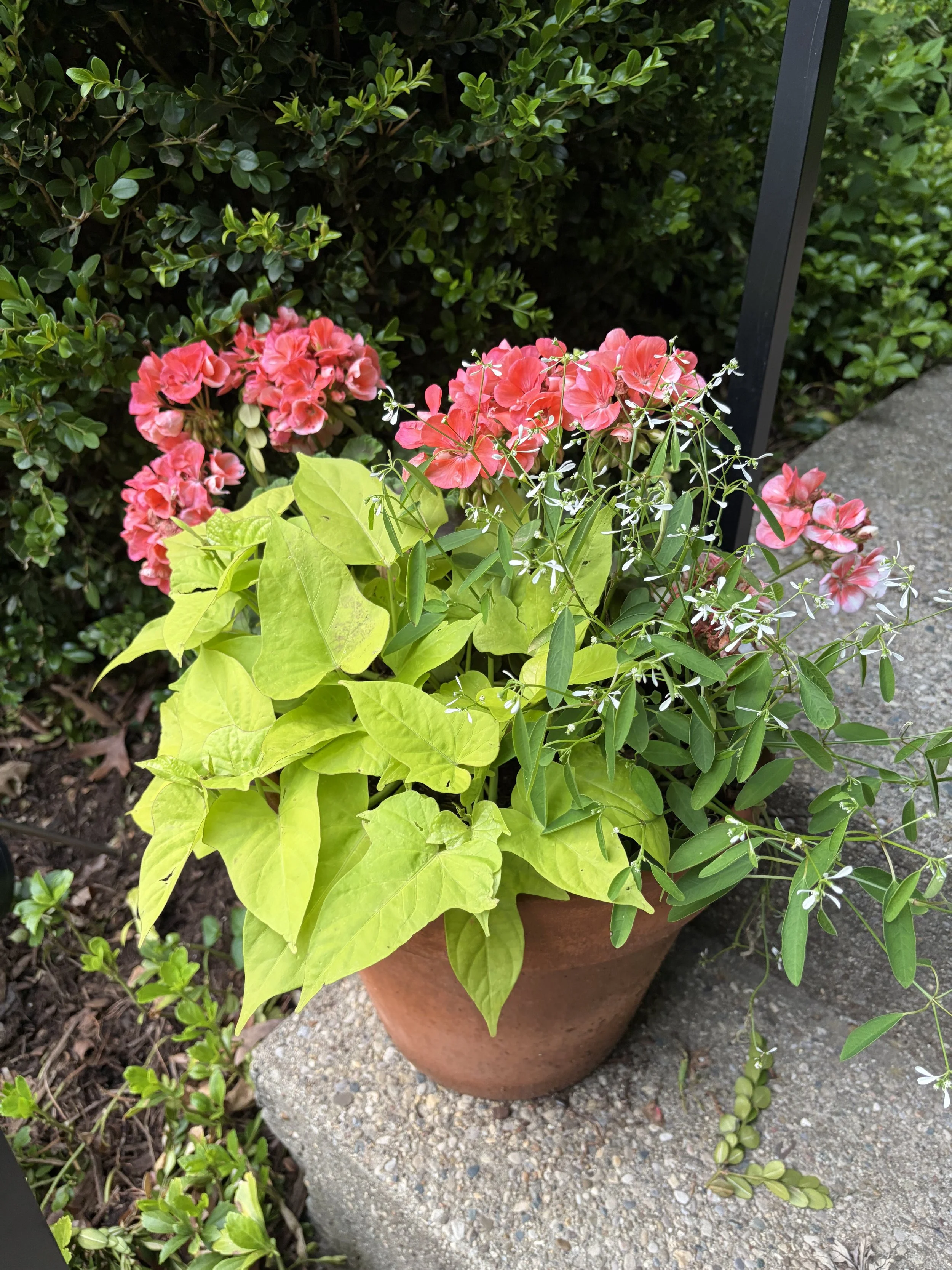Garden Advisory Consultation Gift Card