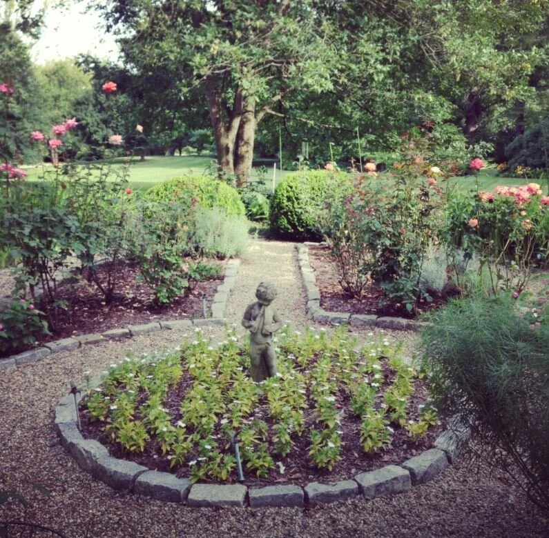 Before: There was a time when the roses flourished in this space. 