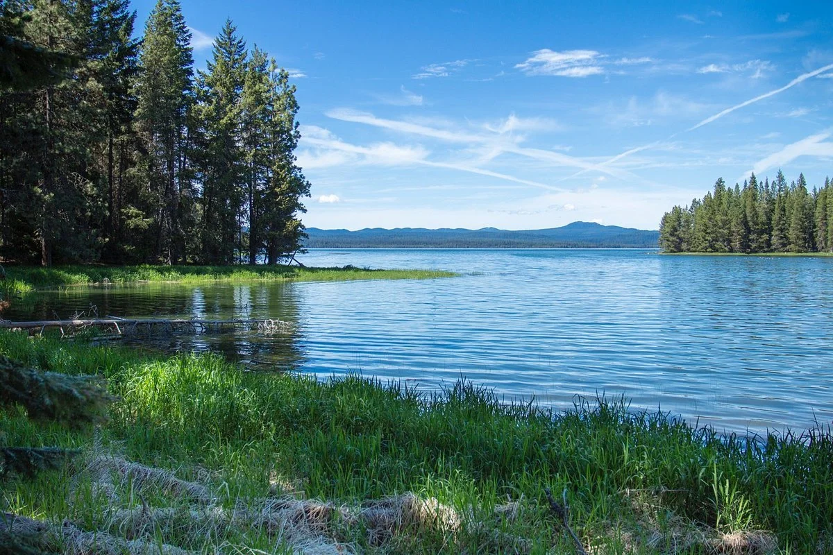 Crane Prairie (Quinn River)