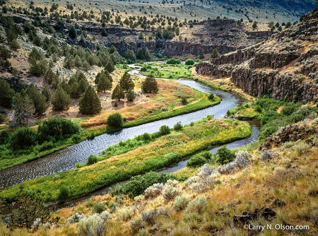 Steens/Blitzen River