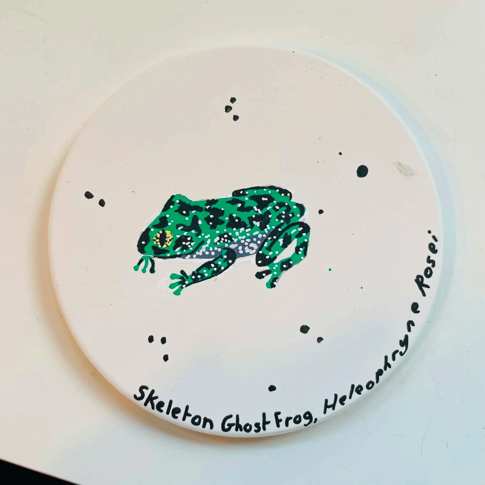 Frog - children's afterschool