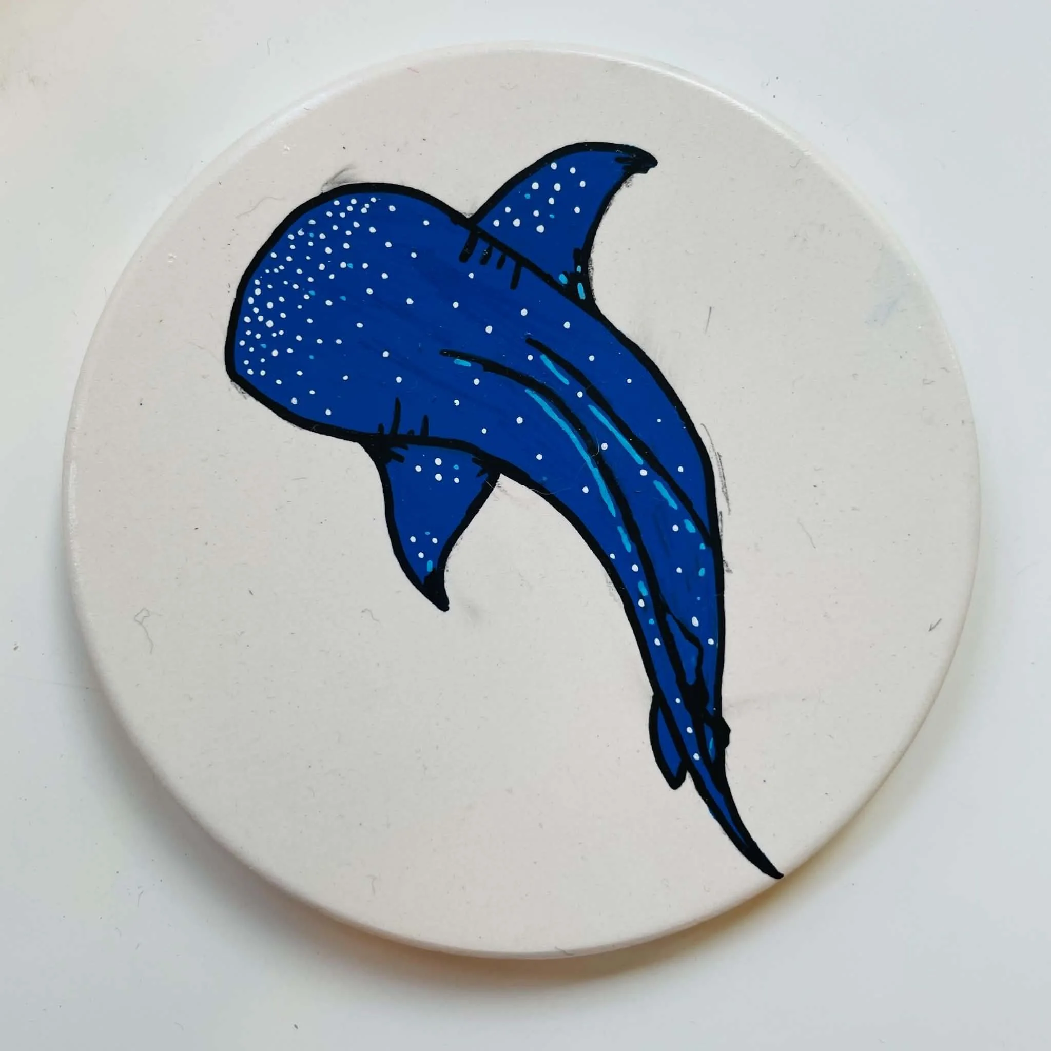 Whale shark - afterschool