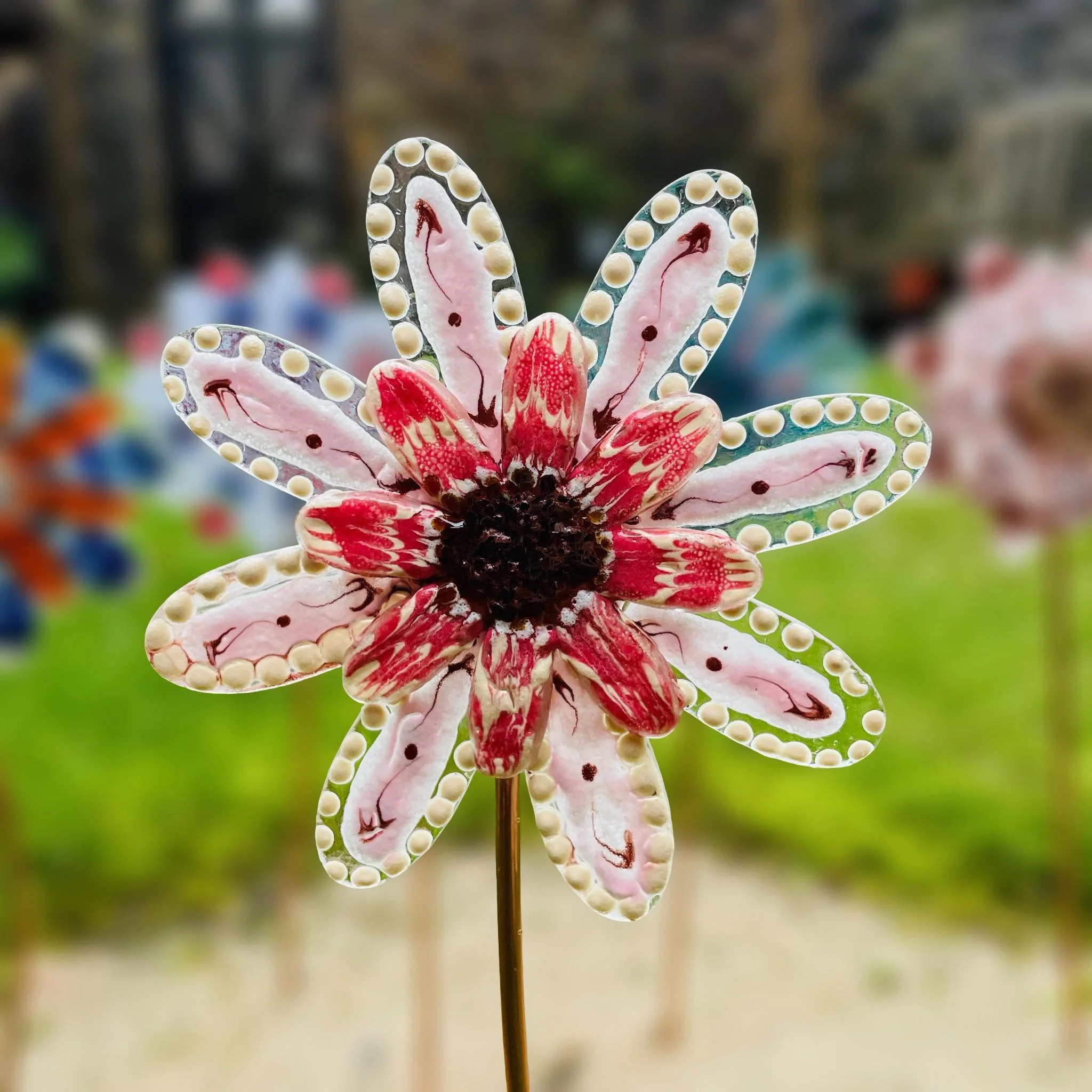 Glass flower - adults