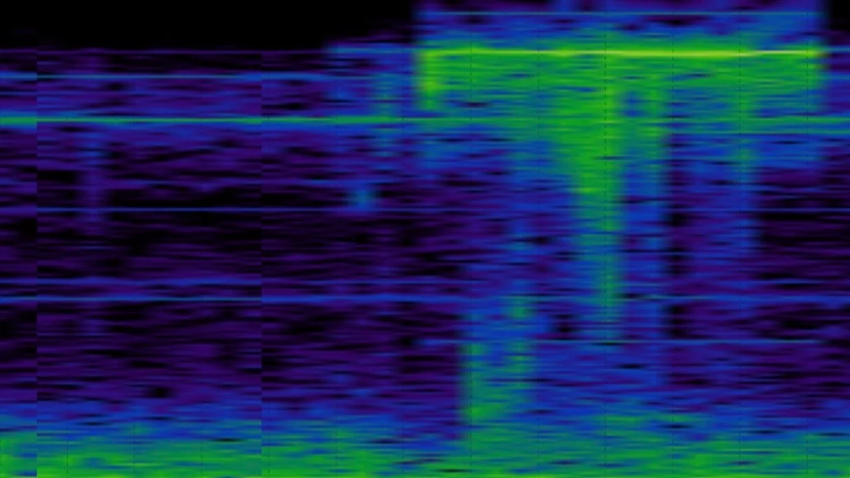 Architectures of Vibration