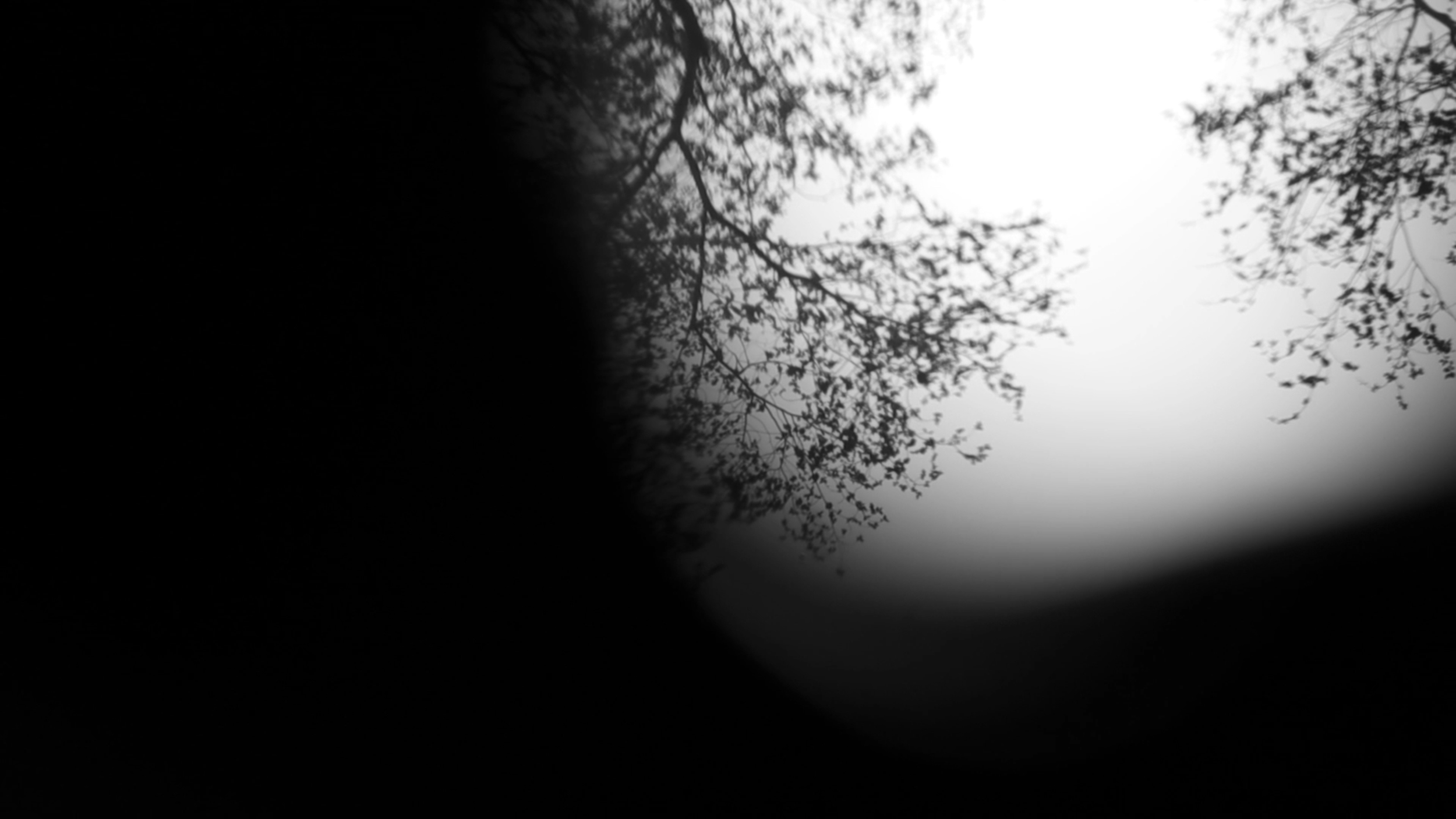 This could be you in just 12 short weeks