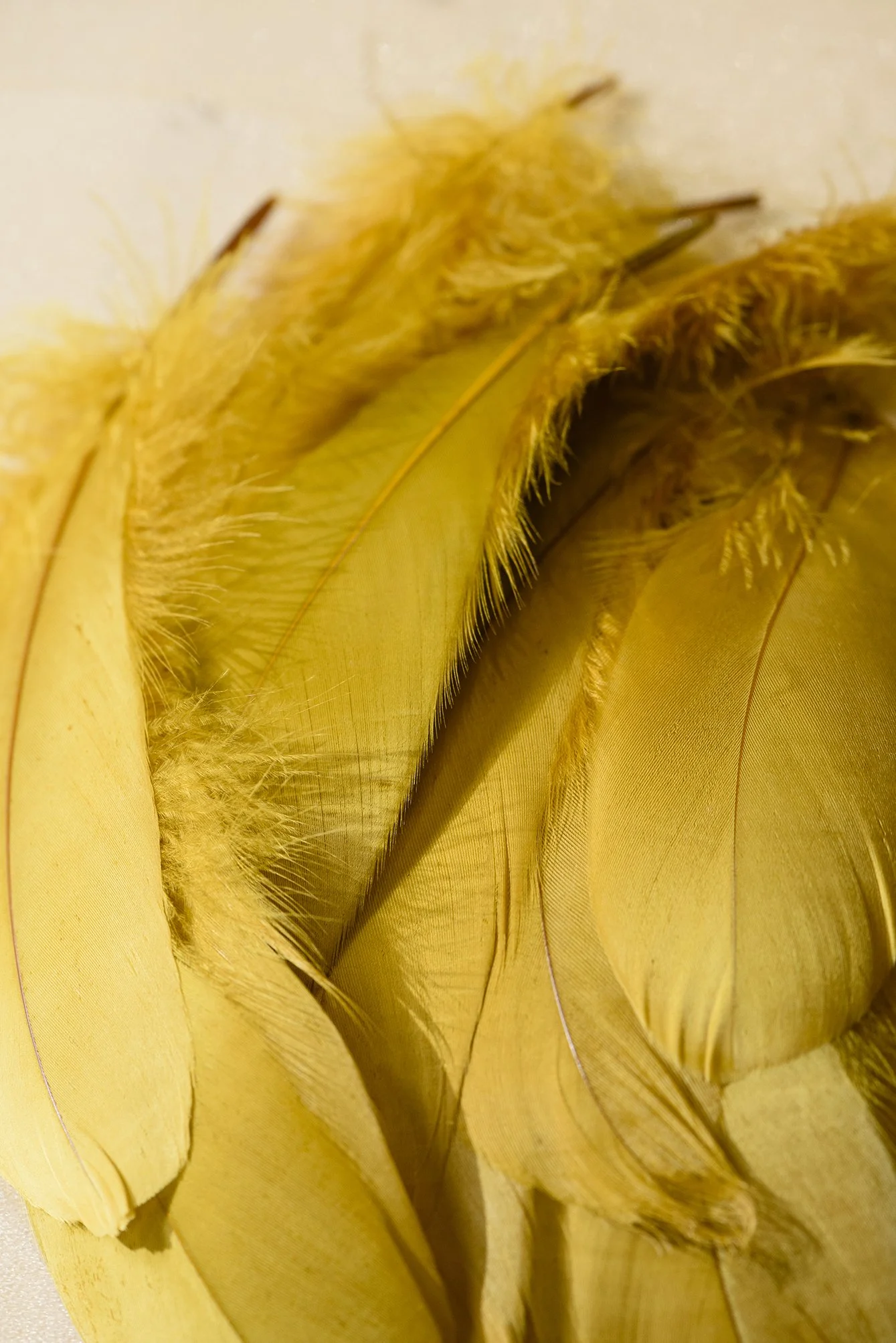 ©corinnejamet_Guerlain_J.Milheiro_oct2025_095.jpg